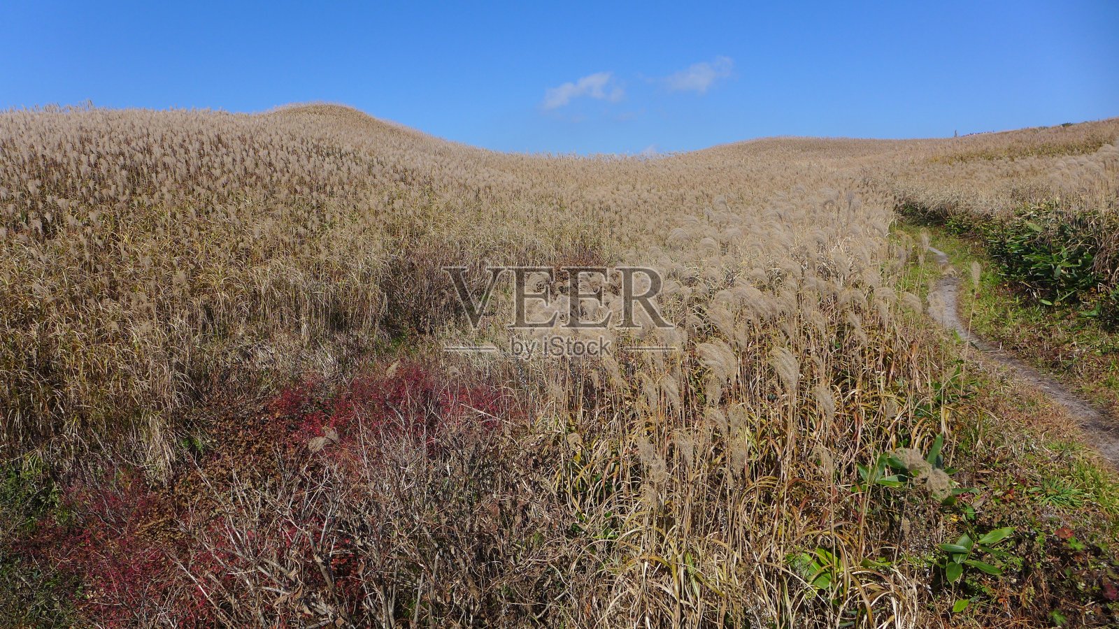 日本岛根县三部山(200座名山、大山大木国立公园)照片摄影图片