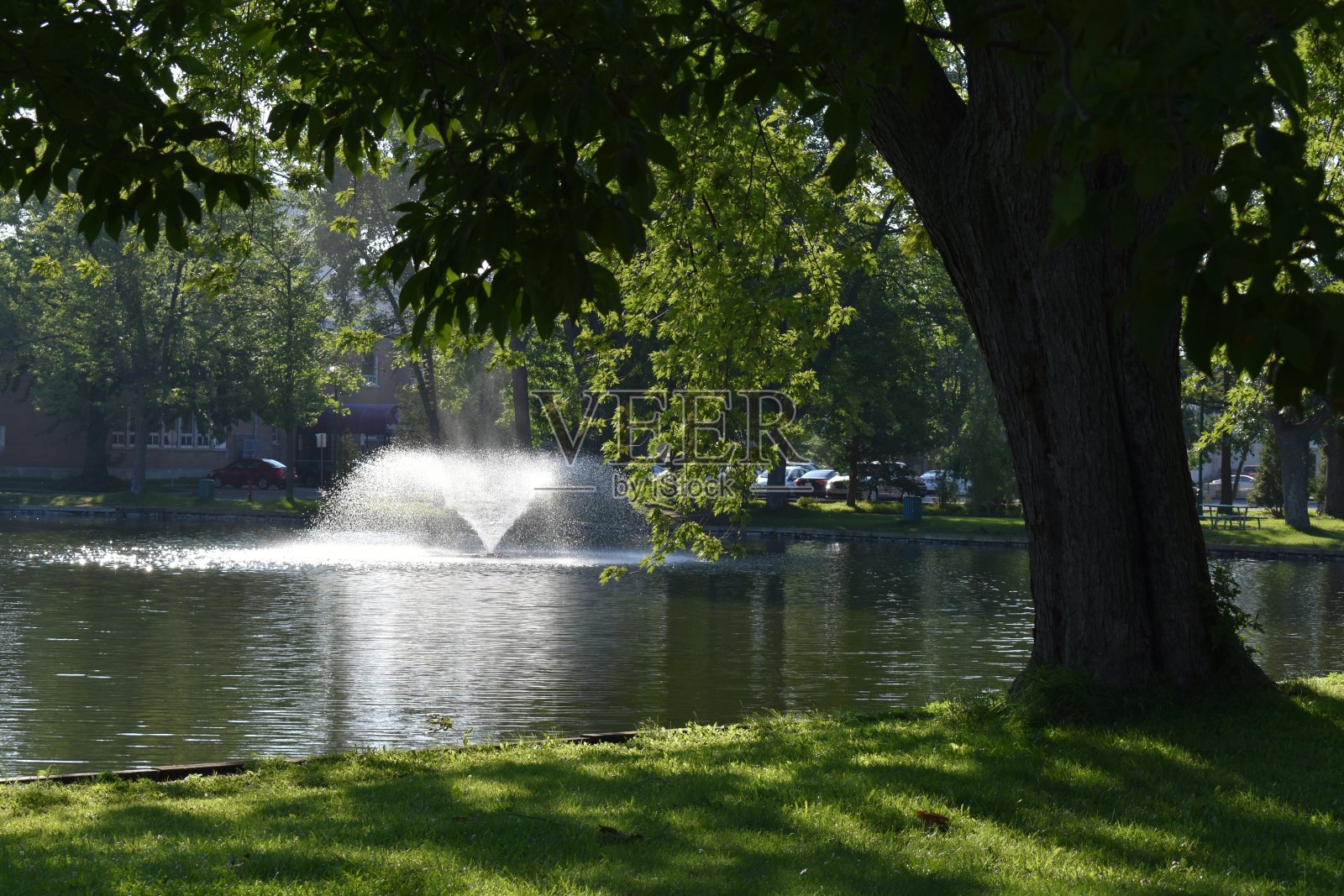 公园照片摄影图片