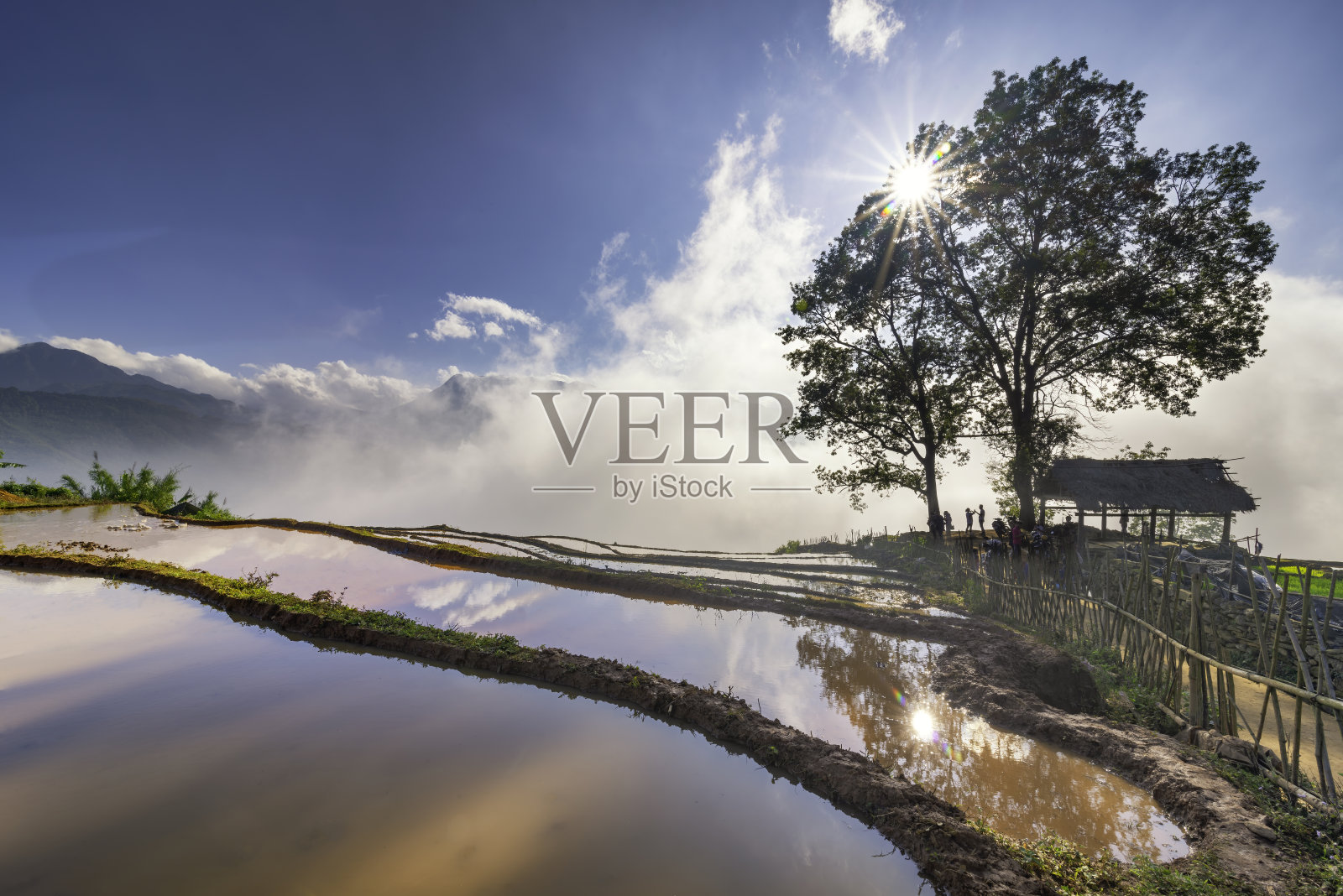 梯田景观与道路和大树在Choan Then, Y Ty, Bat Xat照片摄影图片