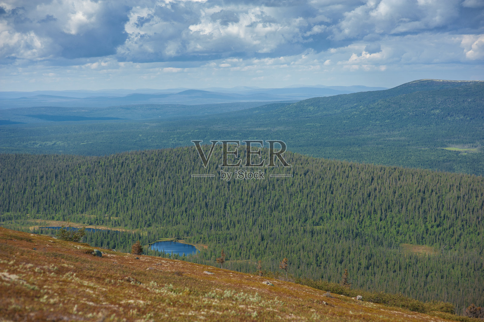 风景优美的晴天景观与森林,山丘和天空照片摄影图片