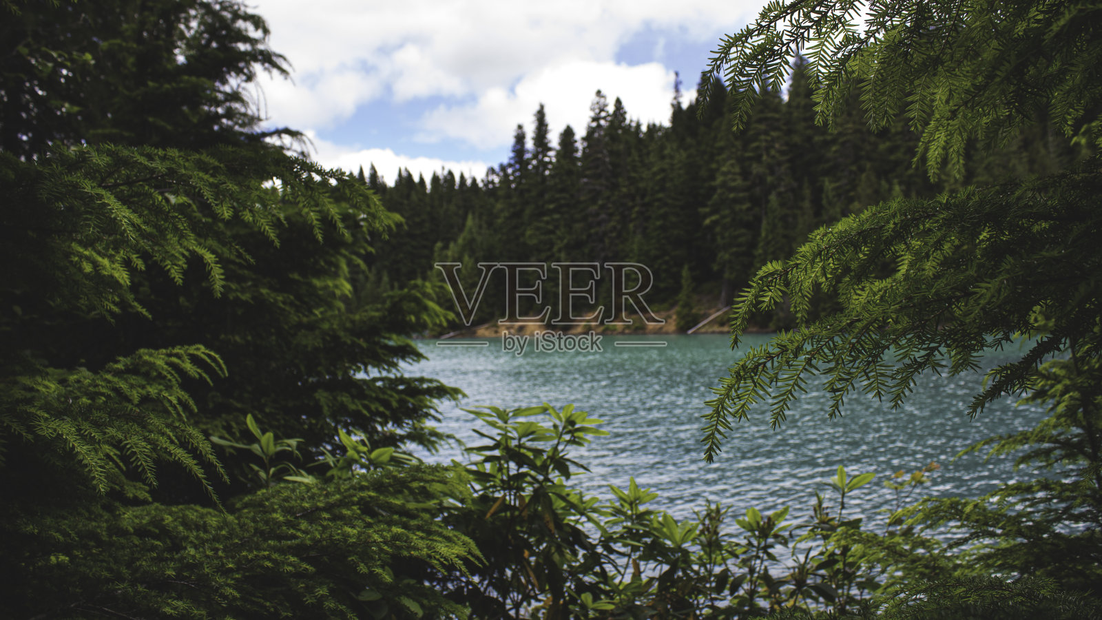 的酒吧照片摄影图片