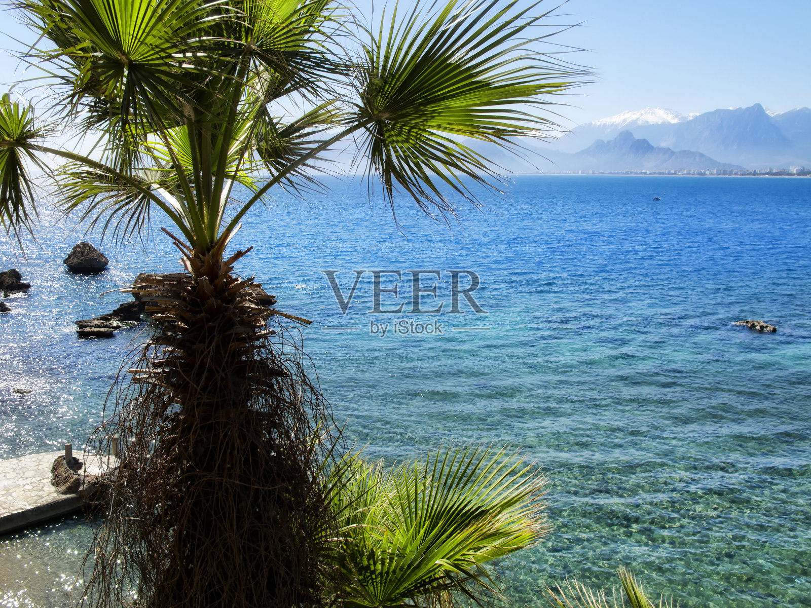 阳光明媚的海景和棕榈树照片摄影图片