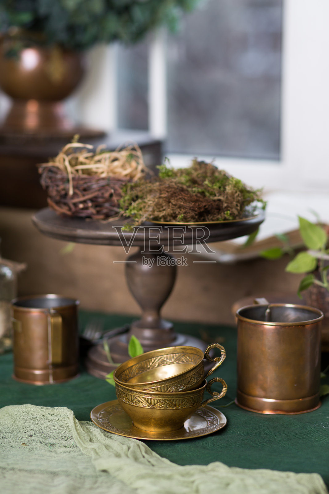 不寻常的半古董装饰与活植物照片摄影图片