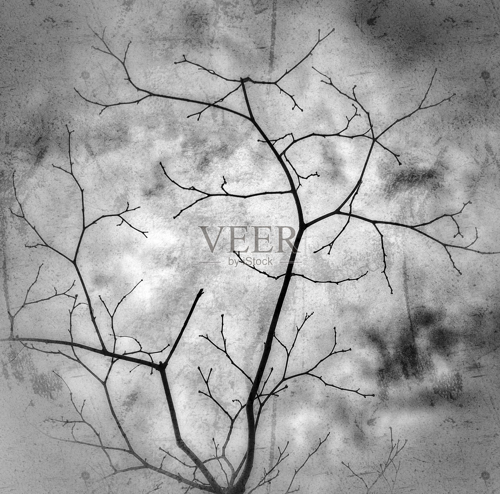 日本宏碁照片摄影图片