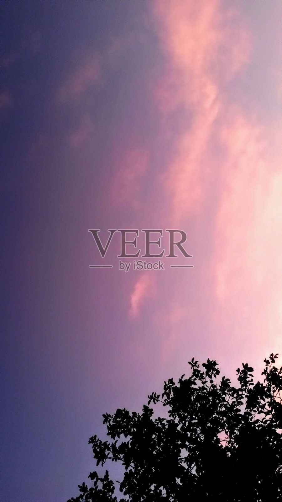 粉色的天空照片摄影图片