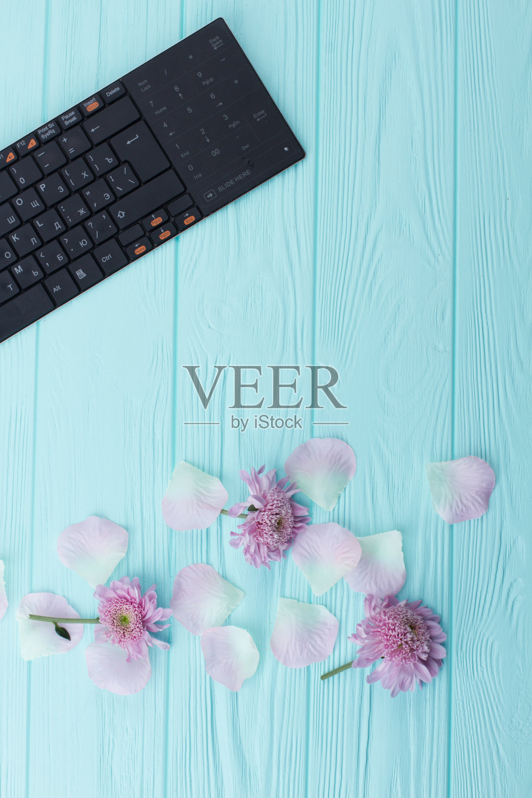 情人节或妇女节的概念。照片摄影图片