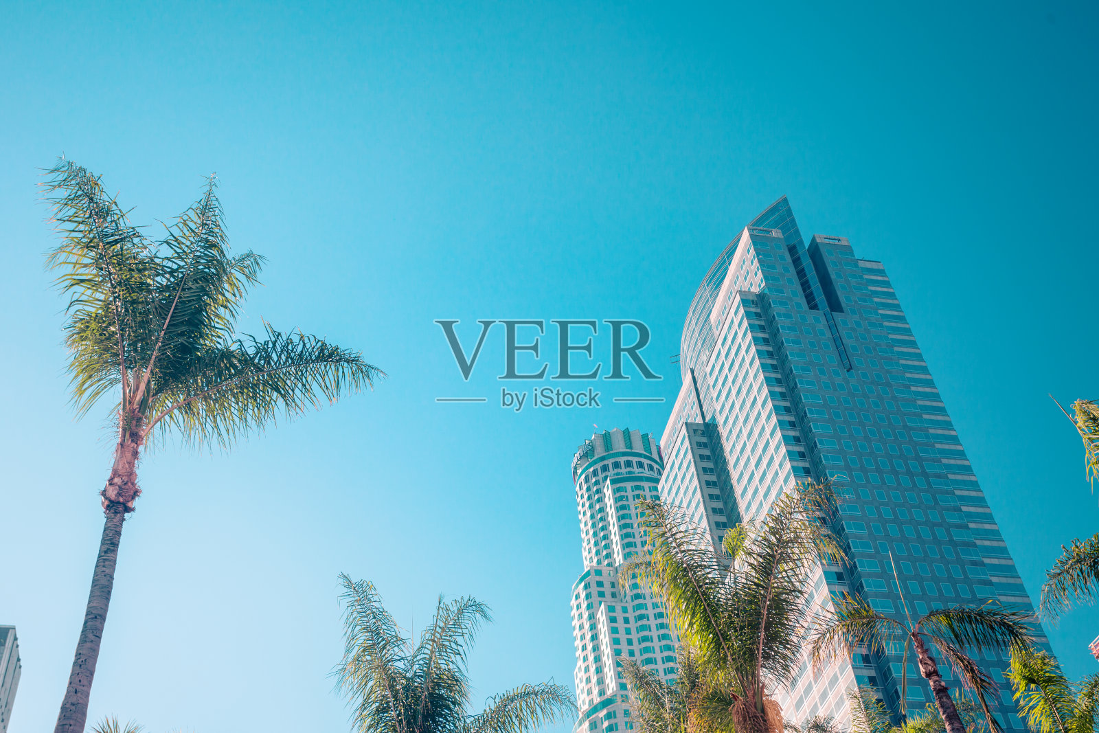 洛杉矶市中心的摩天大楼和棕榈和复印空间照片摄影图片