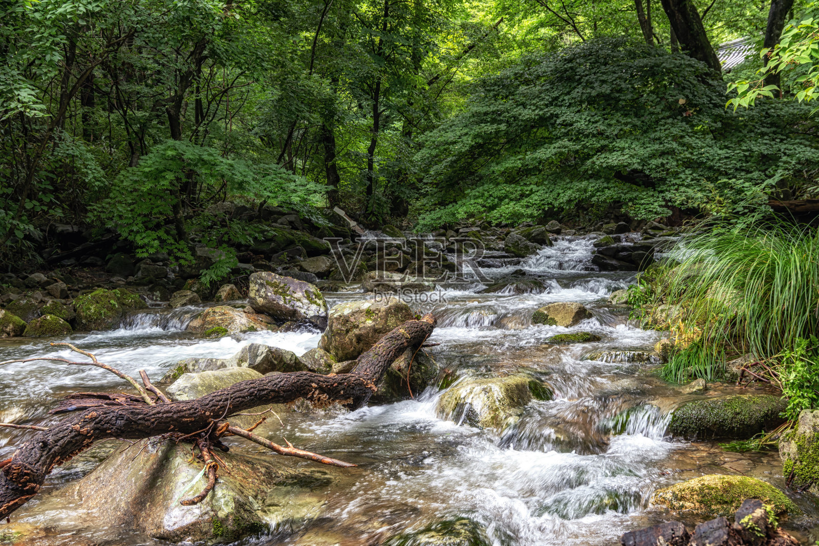 顺天若溪山溪照片摄影图片