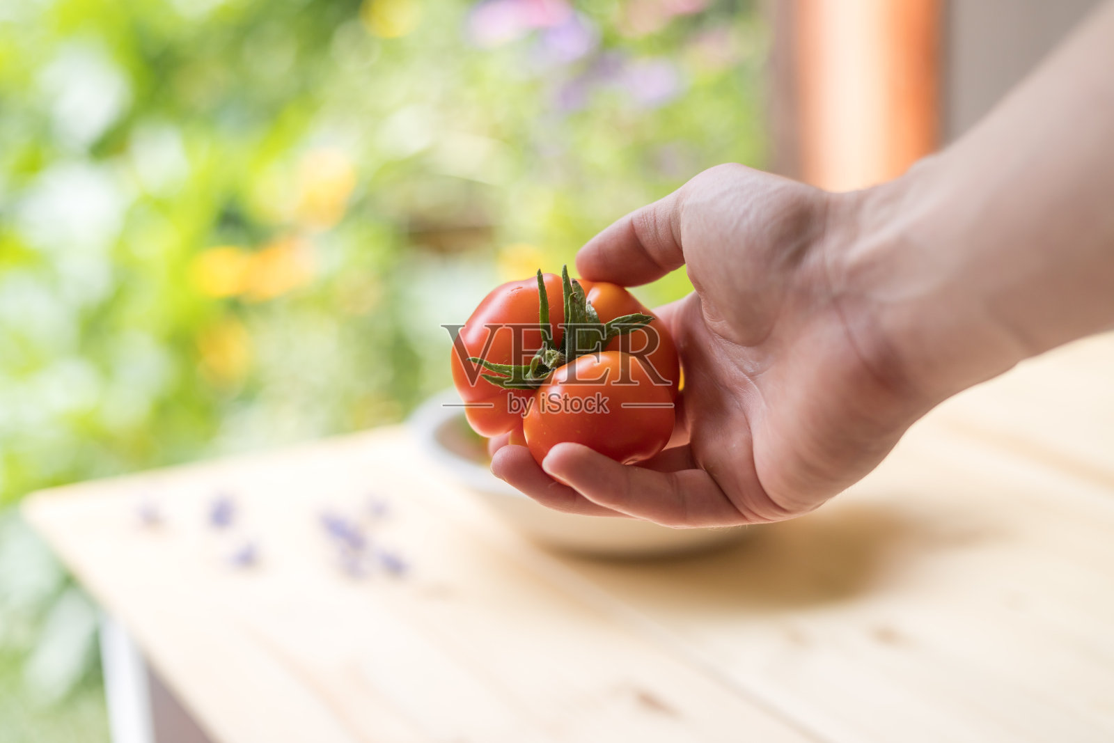 城市园艺:在自家花园里种植的新鲜蔬菜。西红柿,西葫芦和香草照片摄影图片