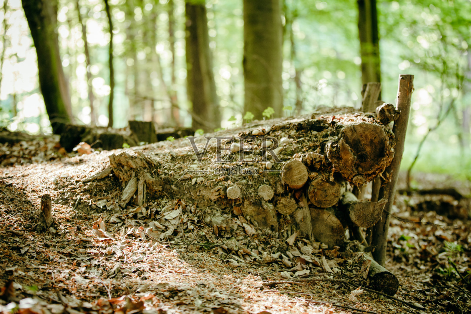 特写的斜坡照片摄影图片