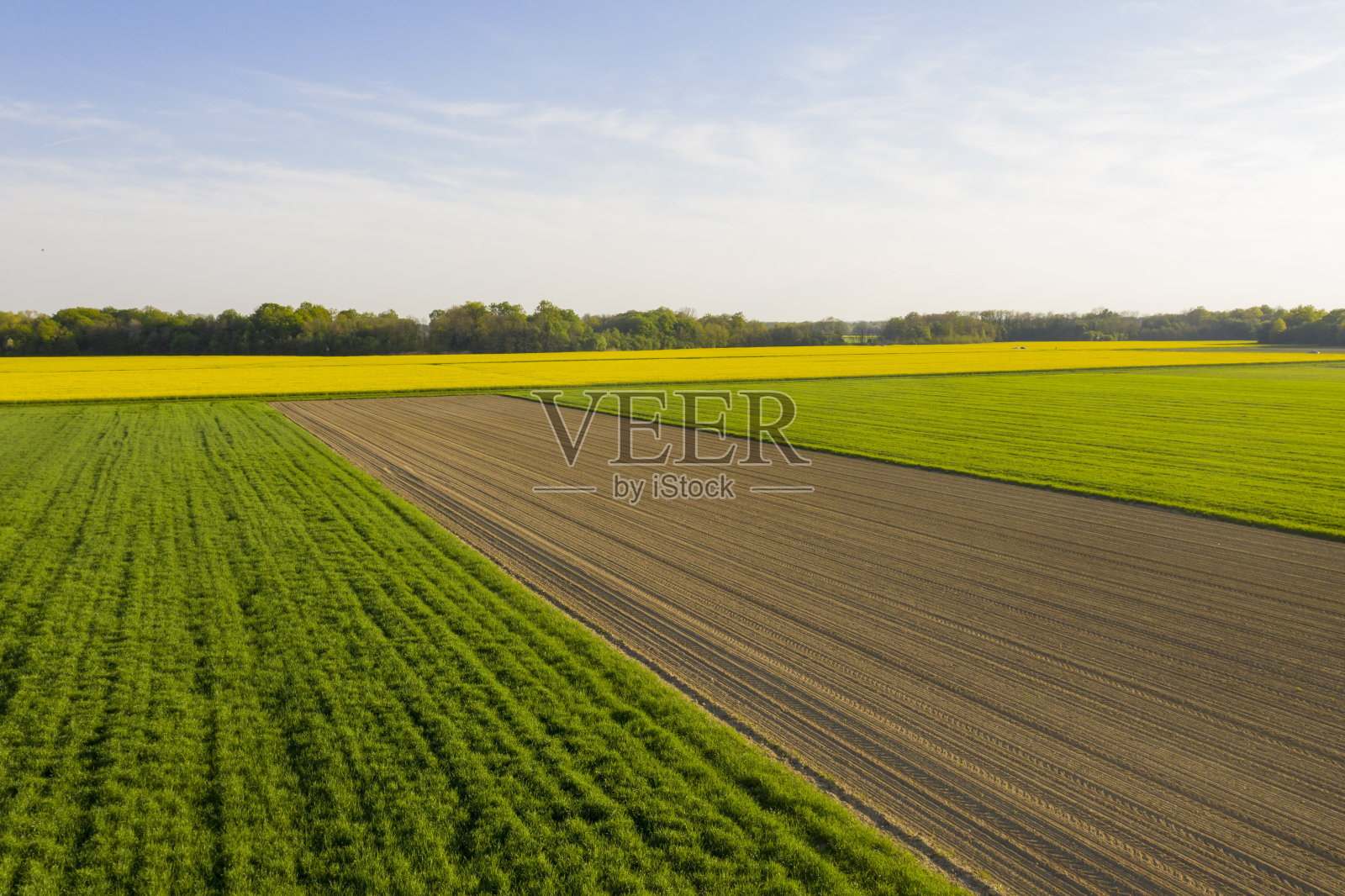 鸟瞰图:农田高角度视图照片摄影图片