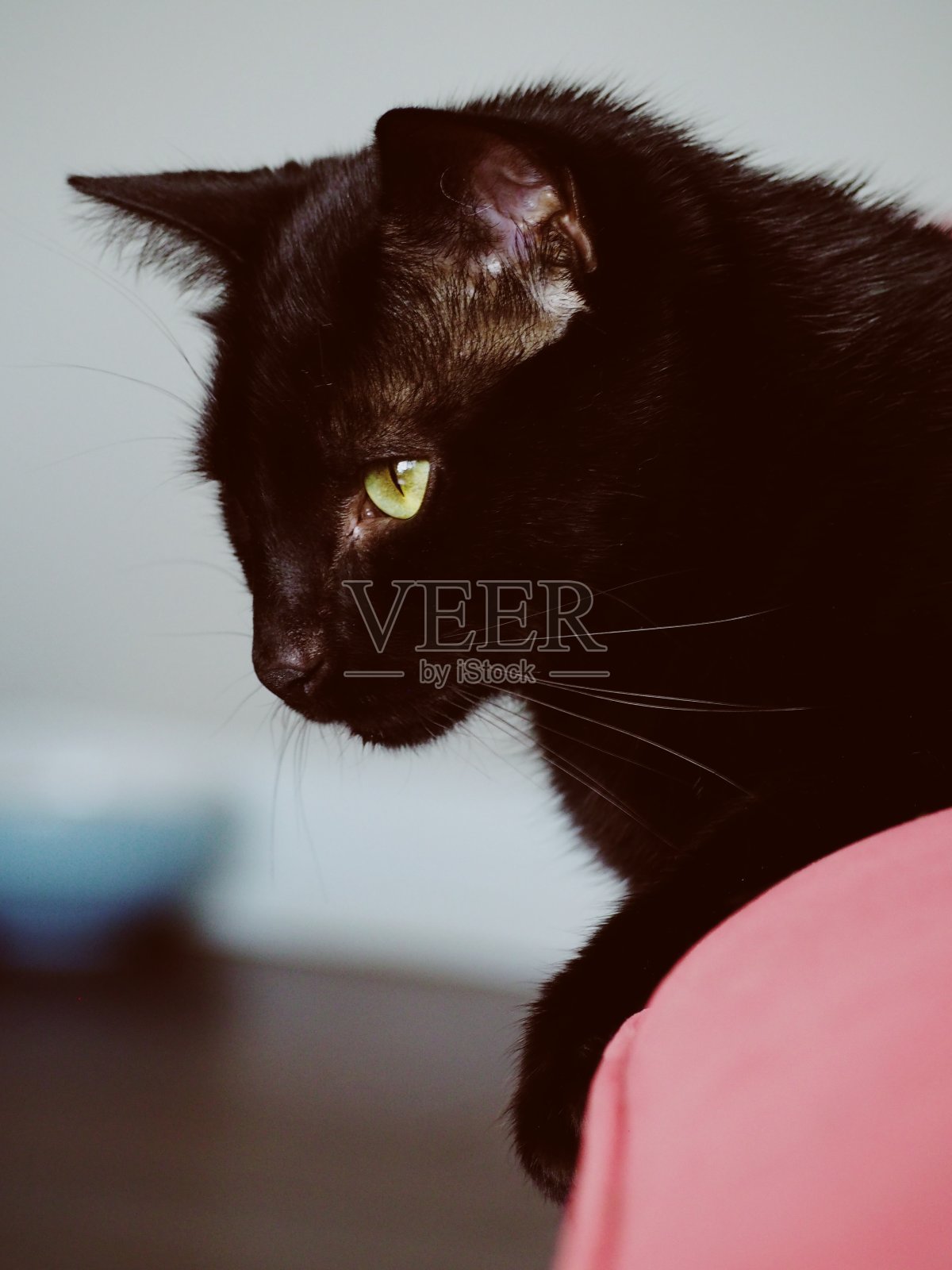 室内游乐场照片摄影图片