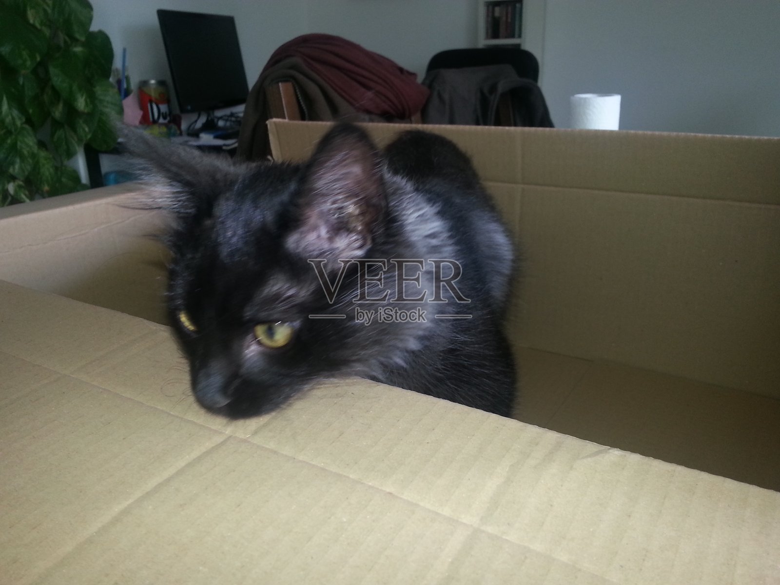 在一个盒子里照片摄影图片