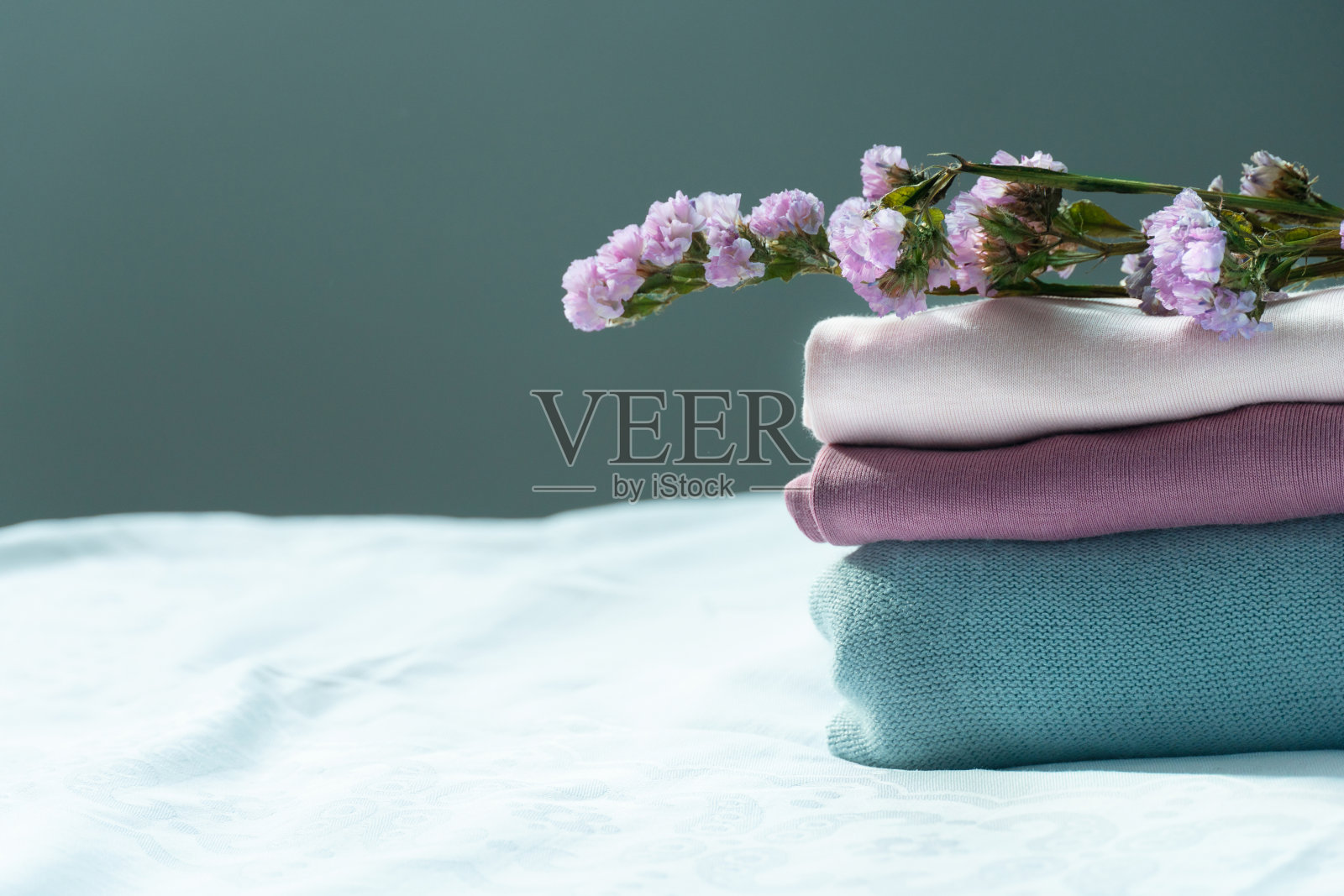 粉蓝色柔和的衣服与紫色的花朵舒适的家庭室内背景照片摄影图片