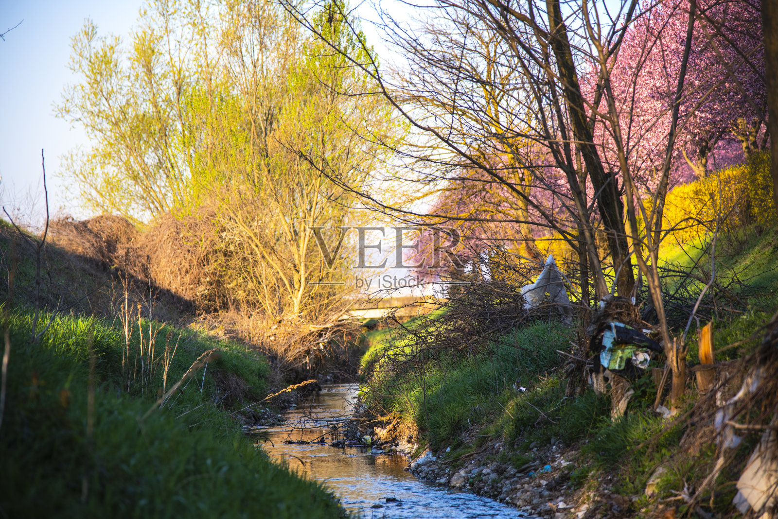 樱桃花巷照片摄影图片