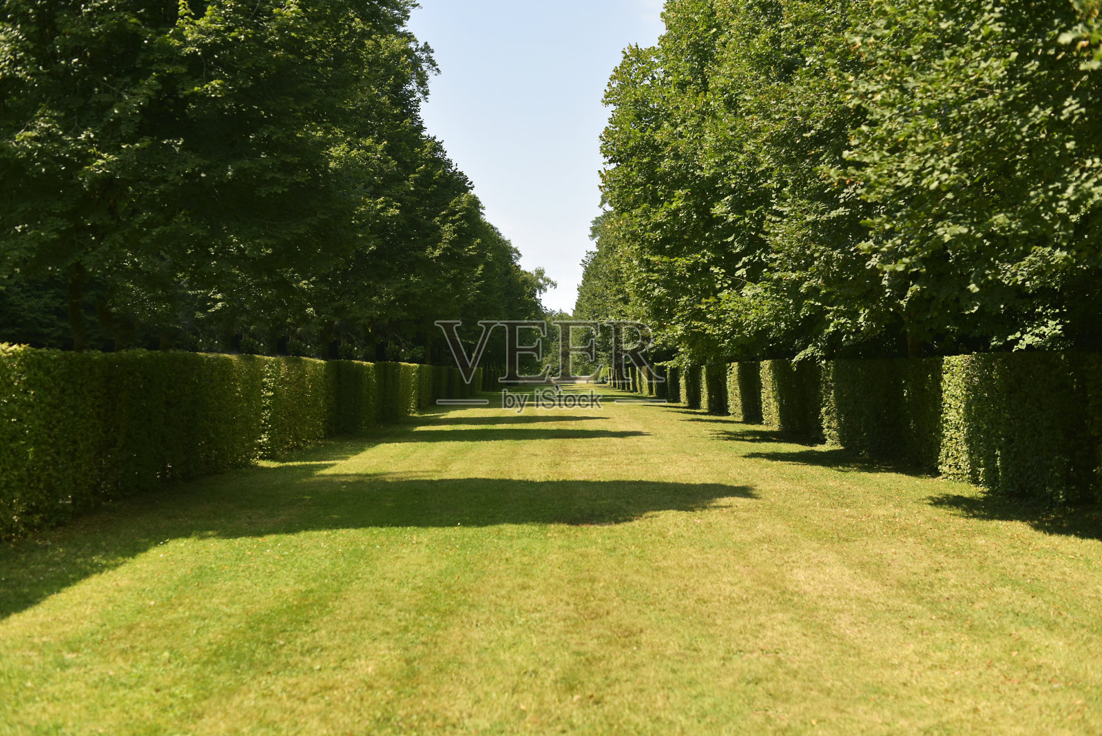 Trevarez法国花园照片摄影图片