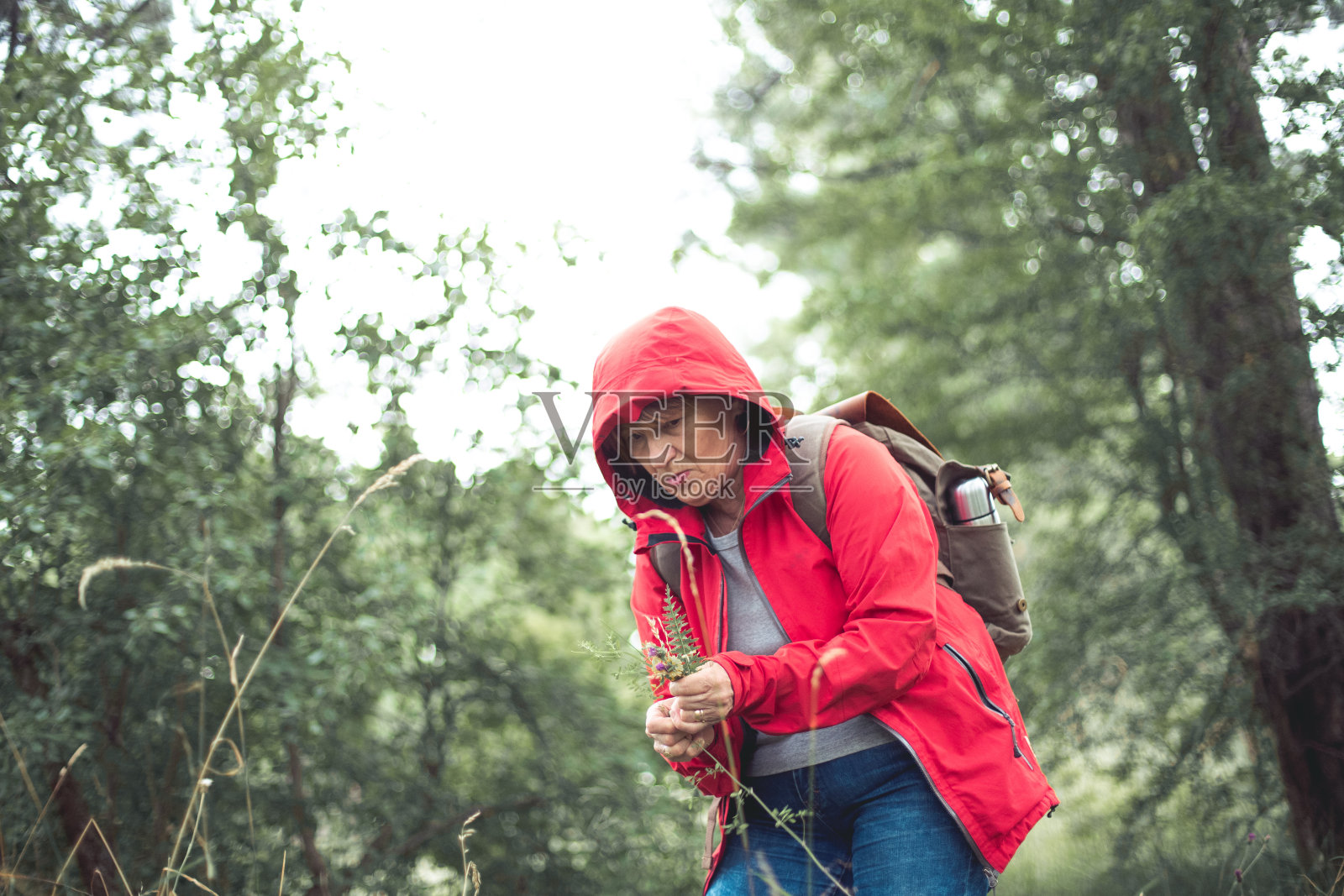 就像过去美好的日子一样照片摄影图片