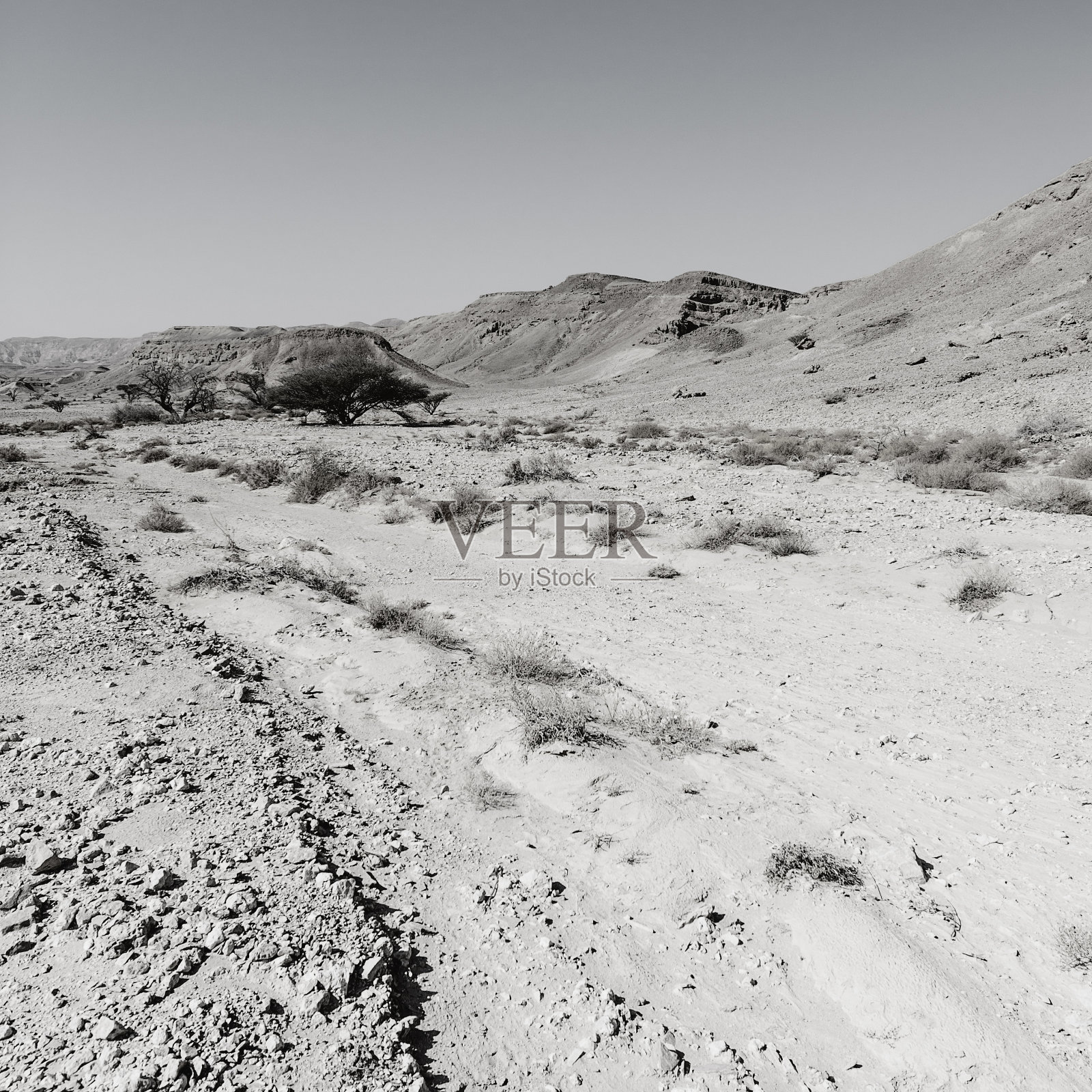 黑色和白色的沮丧和空虚照片摄影图片