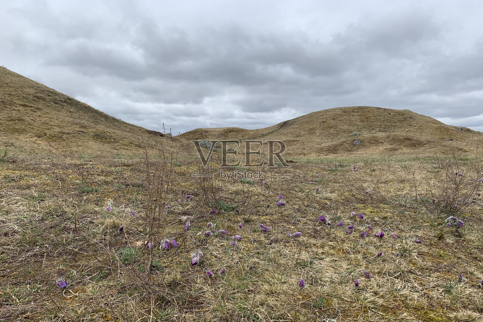 博胡斯伦照片摄影图片