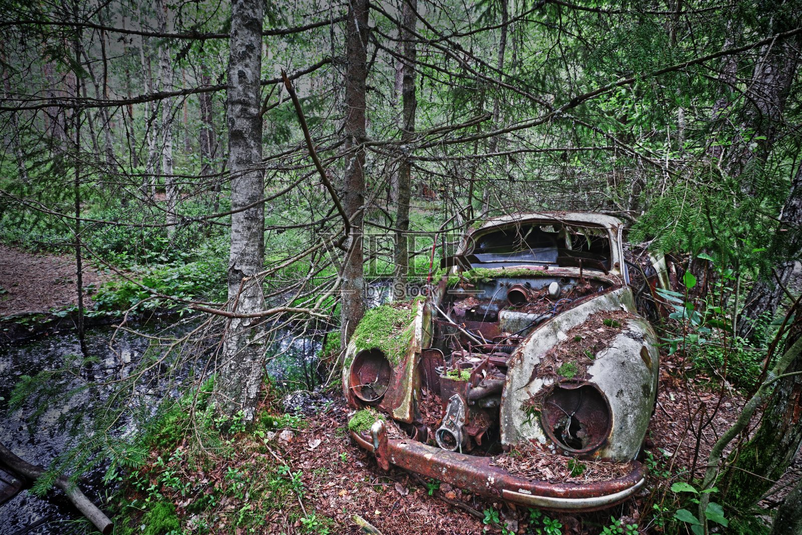 车照片摄影图片