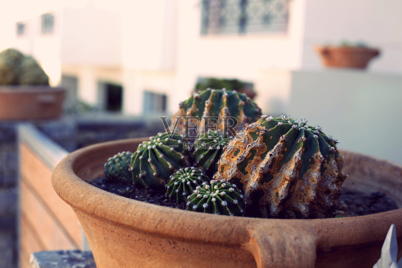 С行为,克里特岛,希腊照片摄影图片