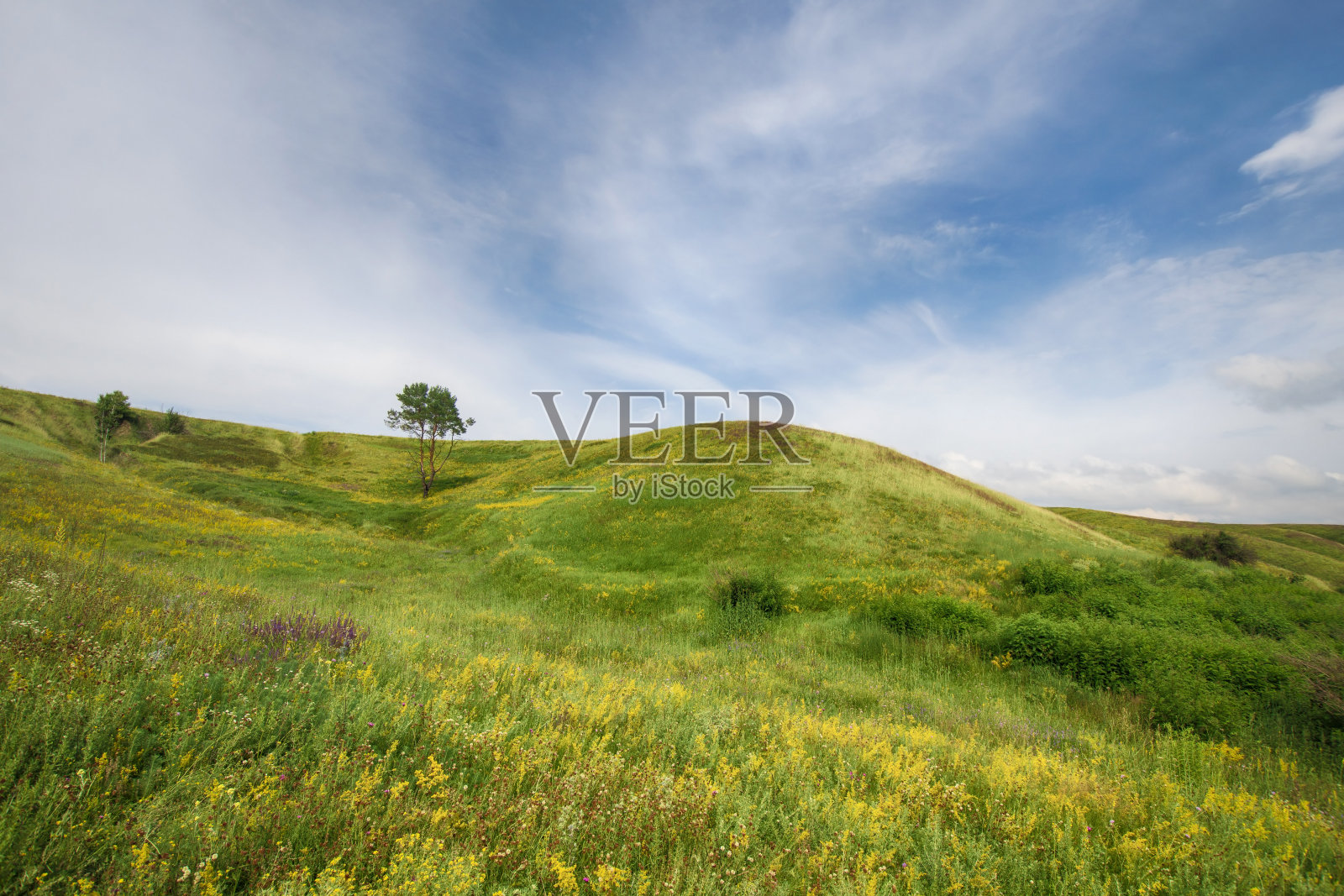 乌克兰风景如画的风景照片摄影图片