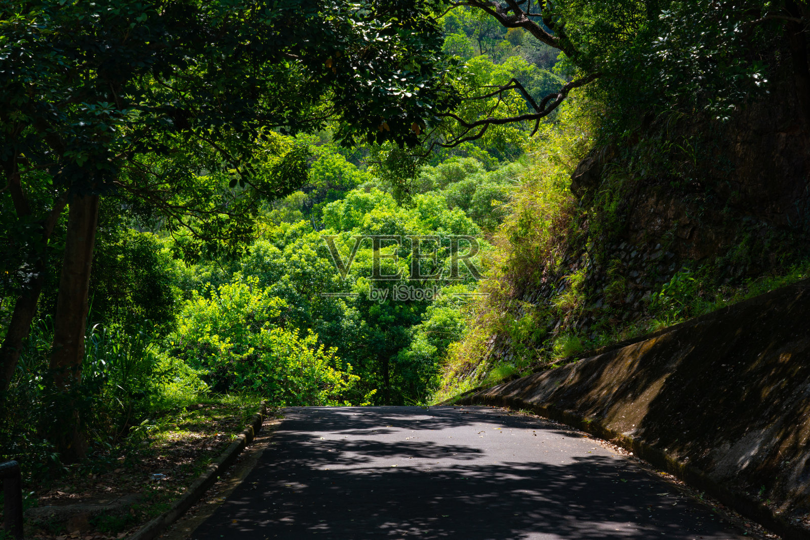 香港流水乡水塘郊游径照片摄影图片