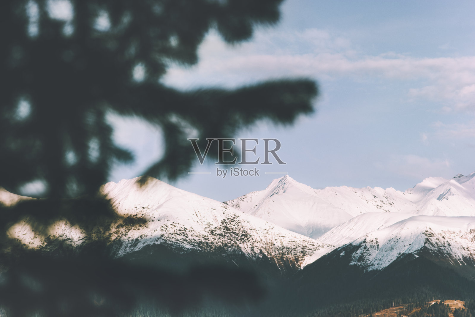 雪山山脉景观和森林树木框架旅行鸟瞰图探索荒野自然风景照片摄影图片