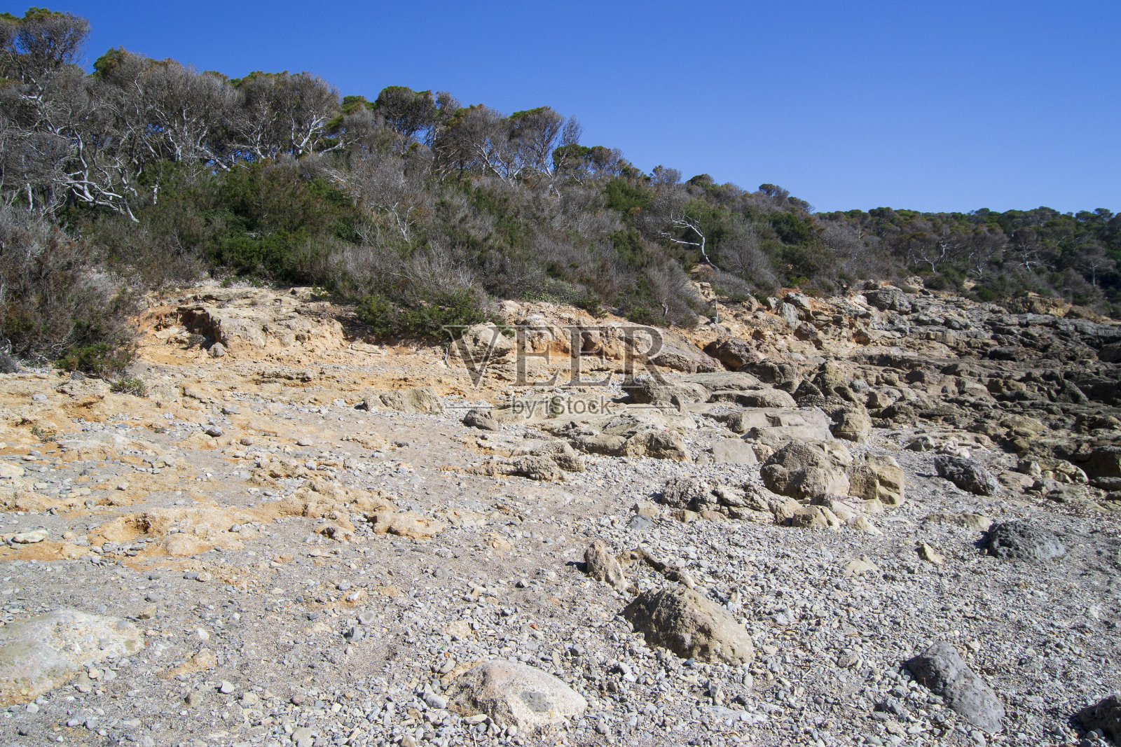波尔图海滩照片摄影图片