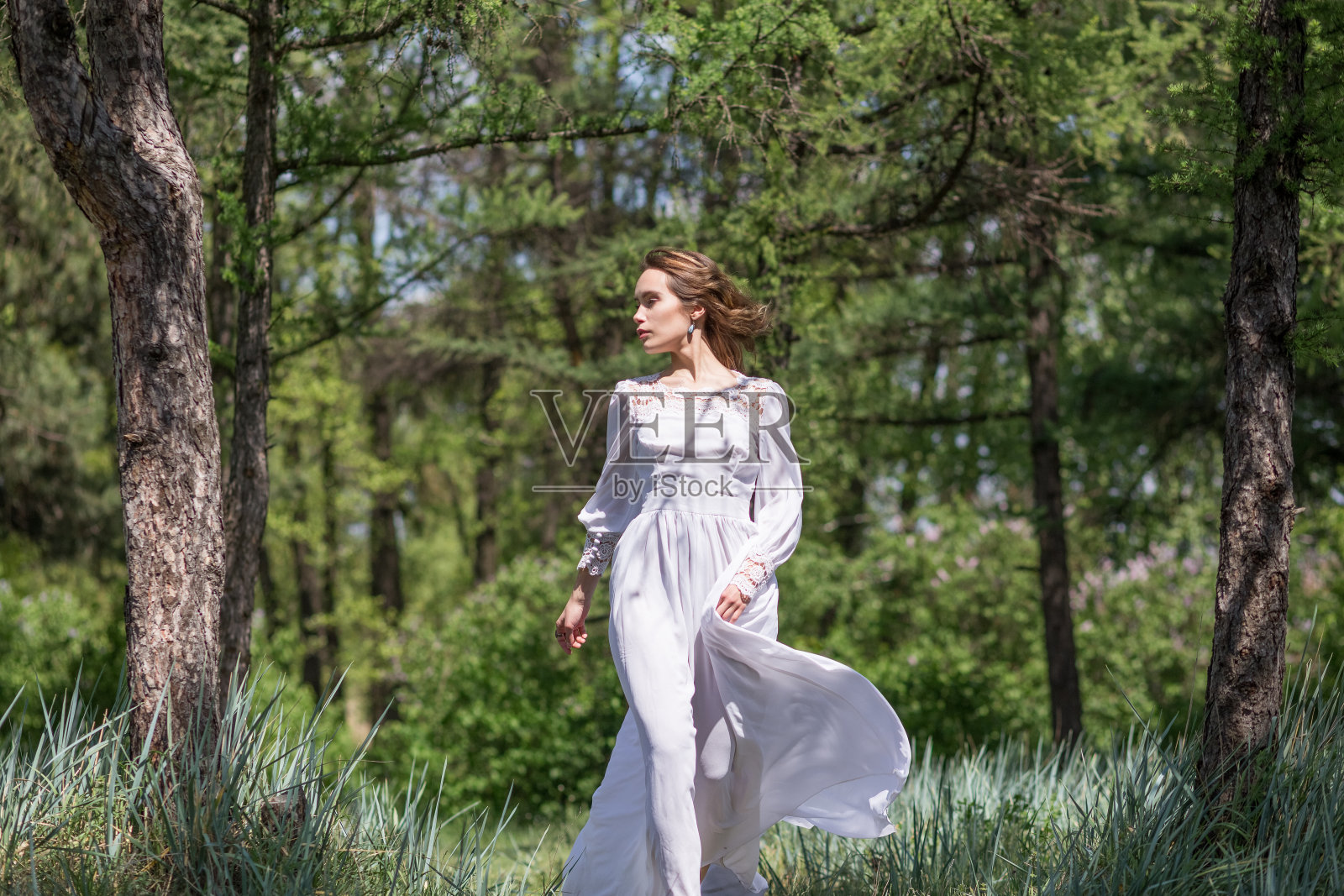 在春天的紫丁香照片摄影图片