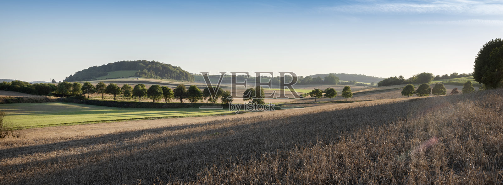 法国北部cap and marais d'opale区域公园的玉米地和草地景观照片摄影图片