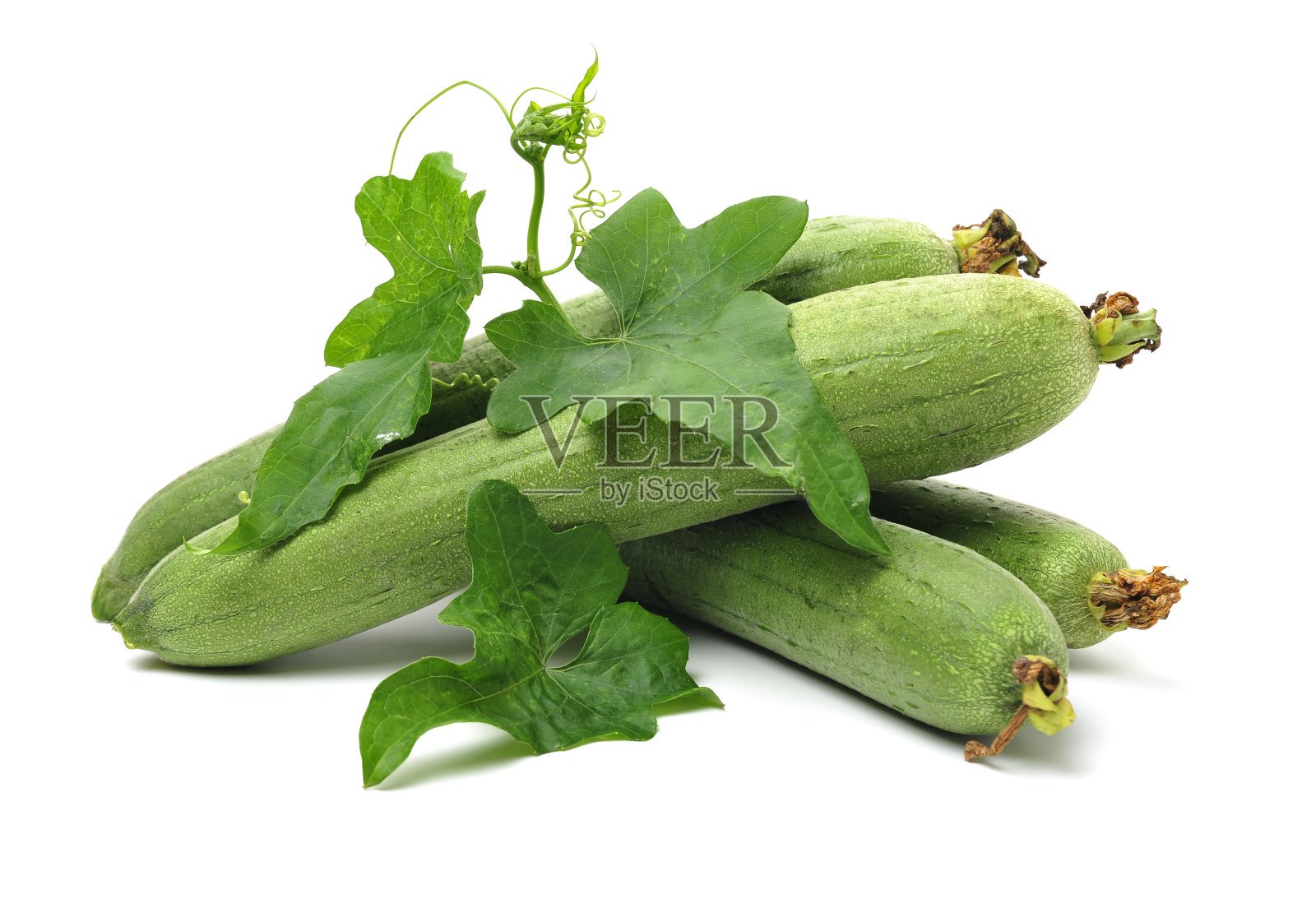 新鲜丝瓜照片摄影图片