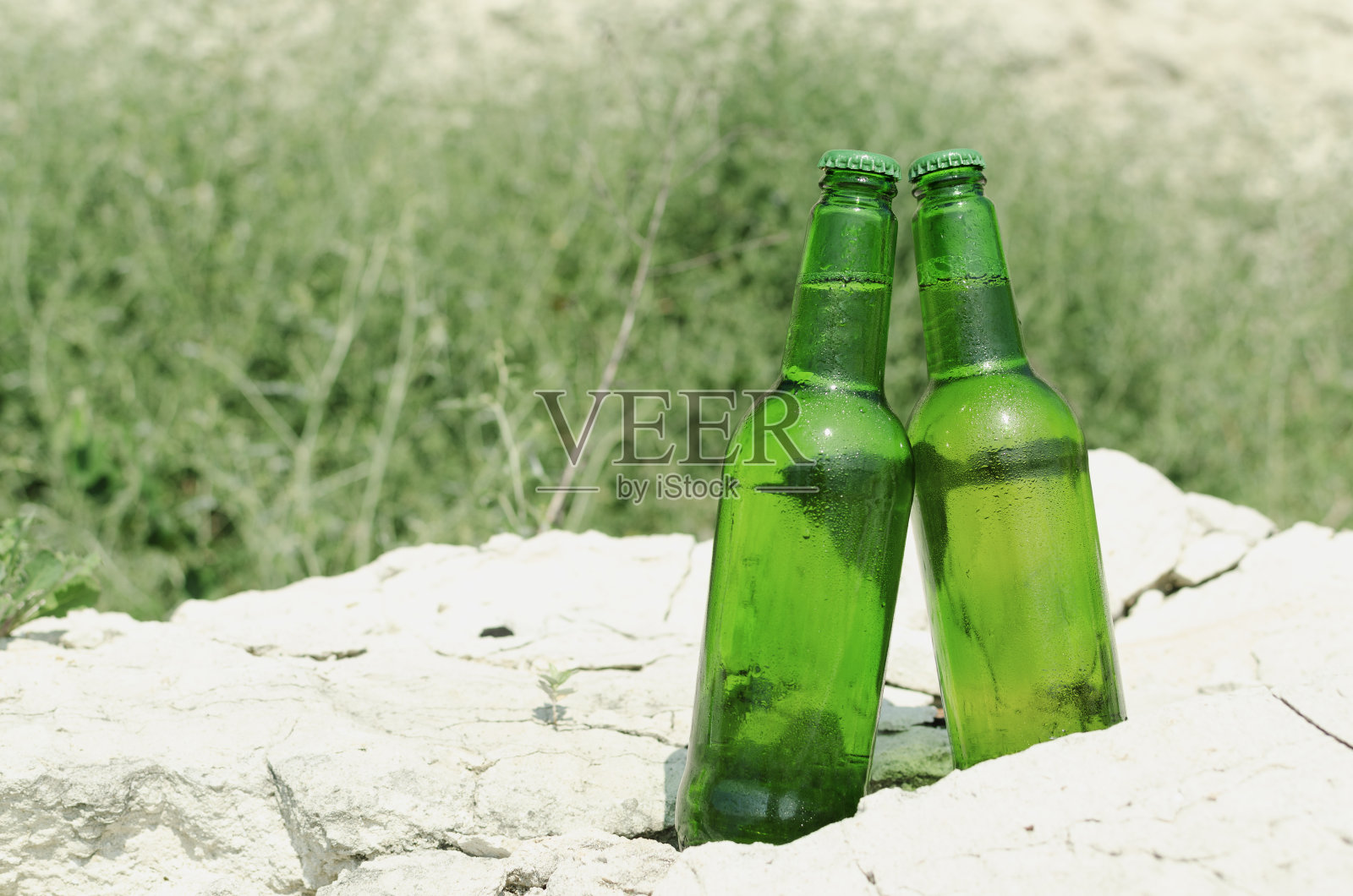 两瓶加冰的淡啤酒。空的空间。放松和冷饮照片摄影图片