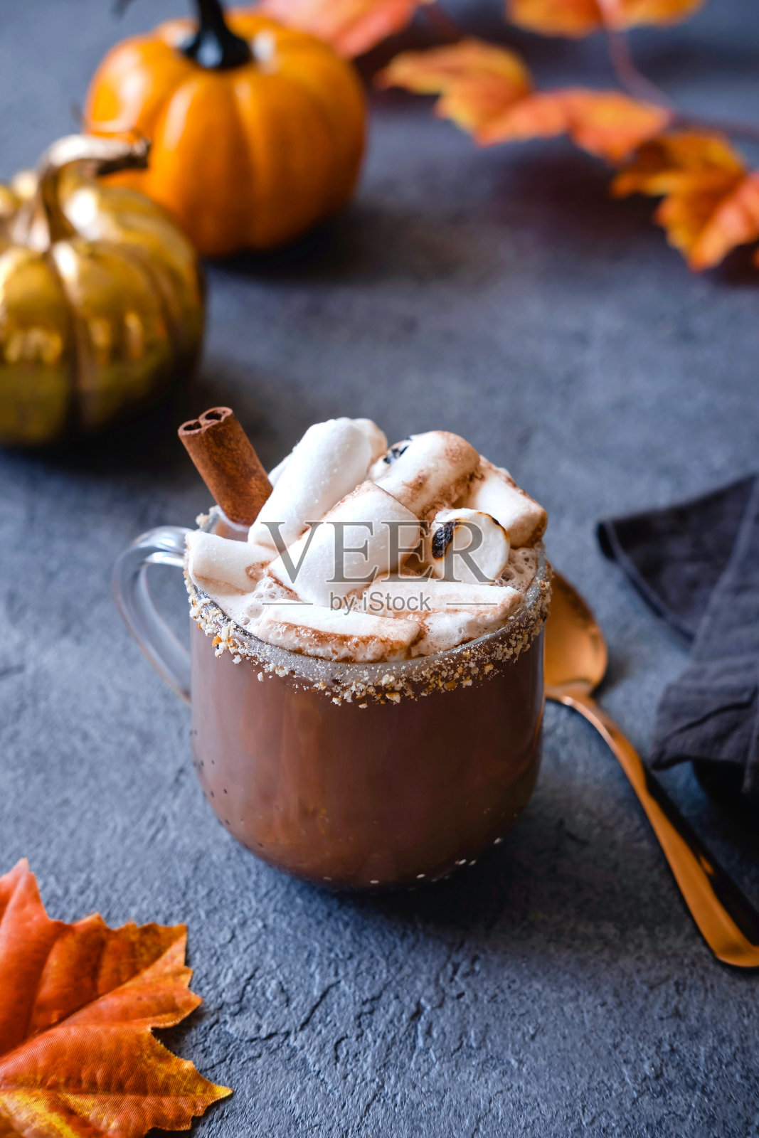 棉花糖热巧克力。舒适的假期和新年的概念。冬季和秋季。节日的概念。照片摄影图片