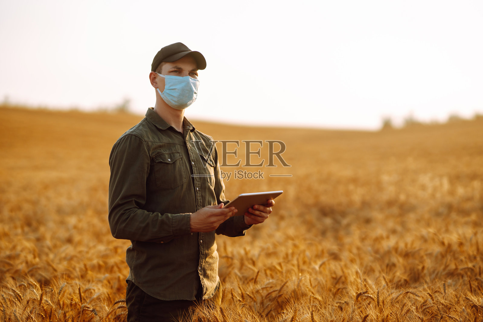 在大流行期间,年轻的农民在麦田里戴着无菌医用口罩,手里拿着药片。照片摄影图片