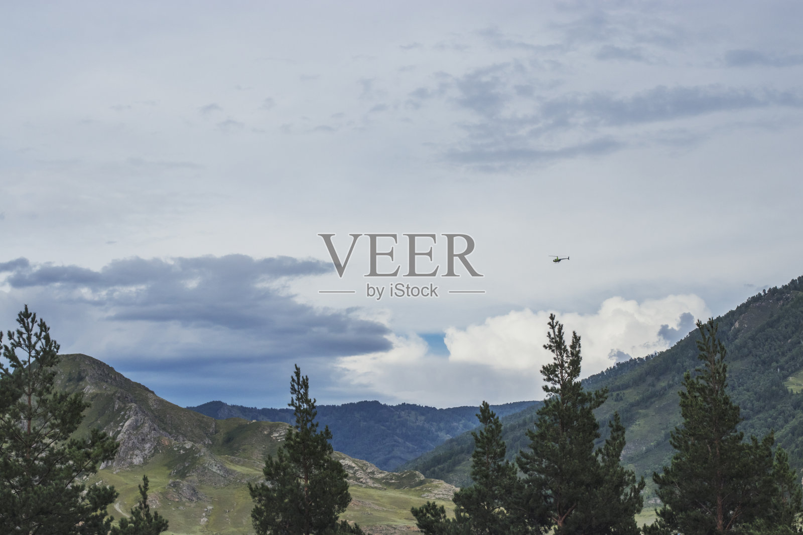 直升机在云雾笼罩的天空中飞过山顶和针叶林。照片摄影图片