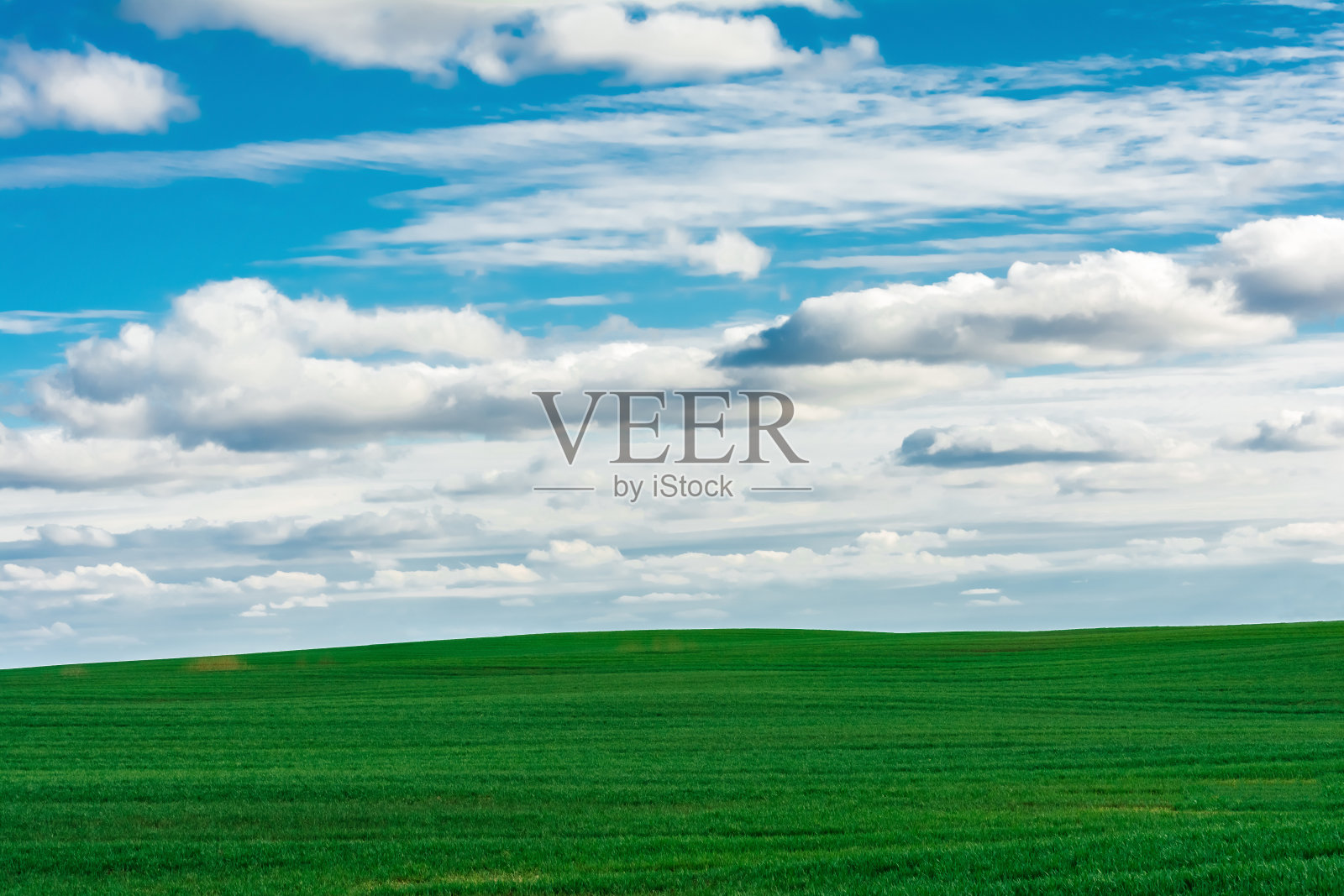 草地和完美的蓝天照片摄影图片