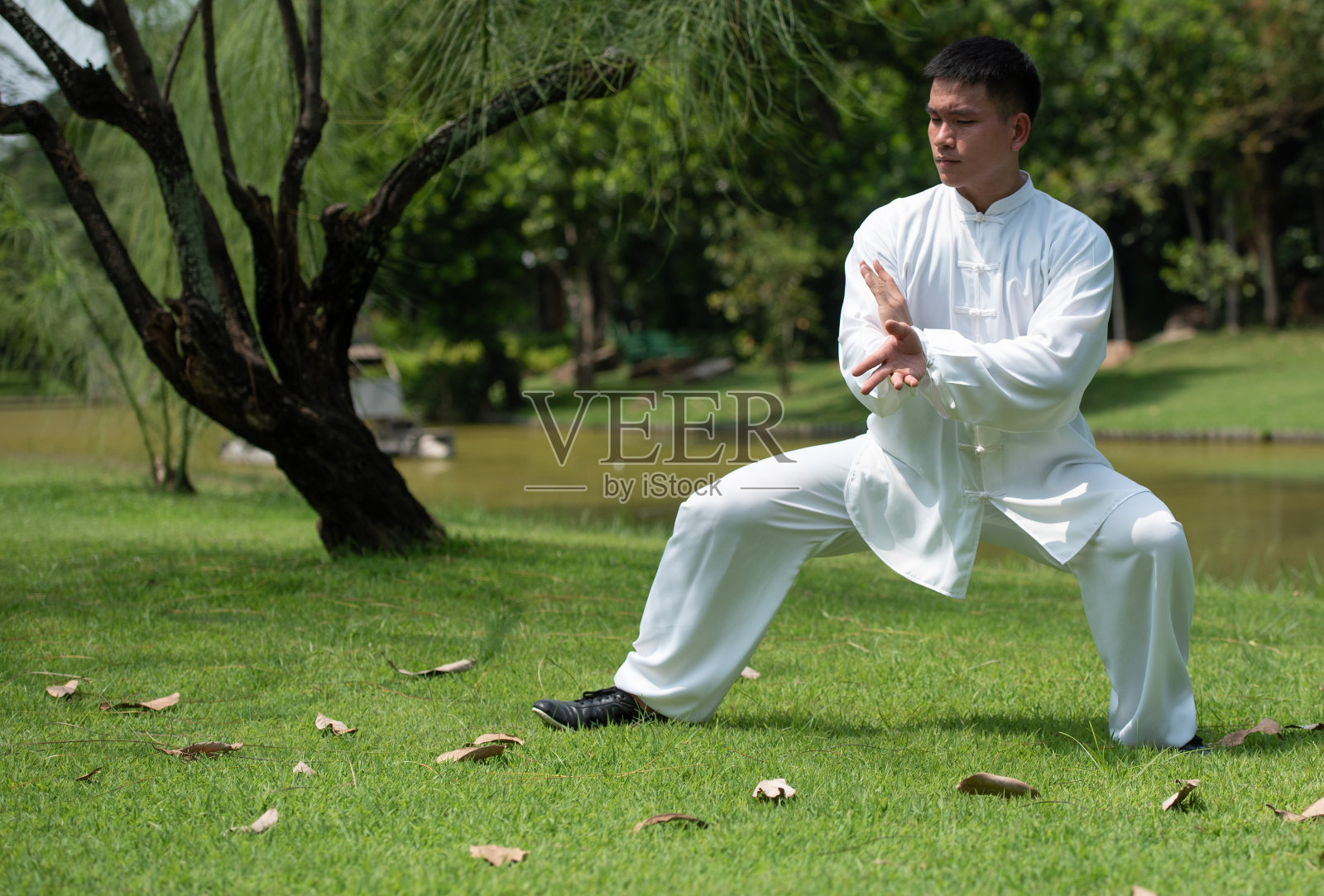一个亚洲男人在公园里打太极。照片摄影图片