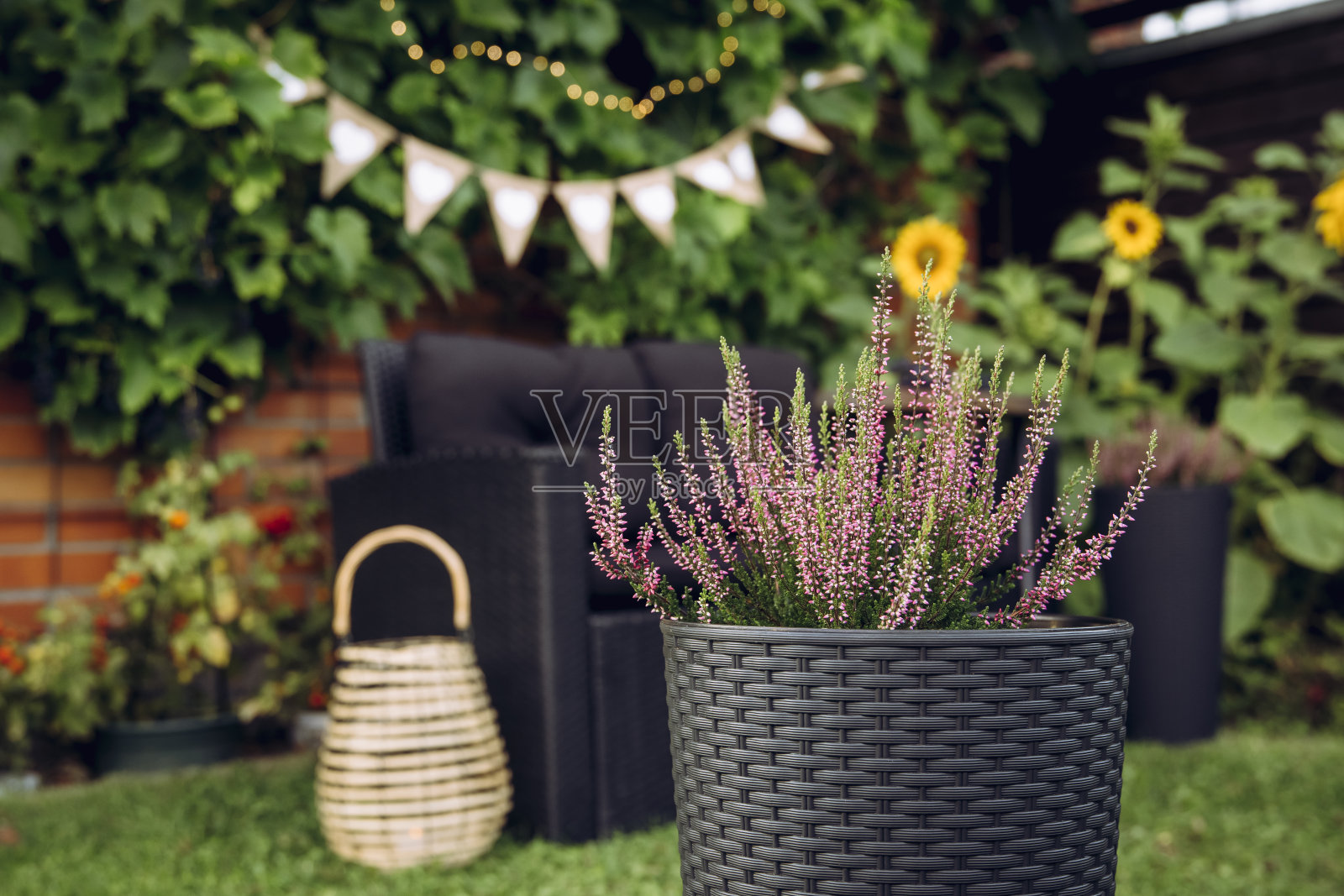 在模糊的背景上是庭院家具椅、竹灯、秋夜爬墙的葡萄藤。照片摄影图片