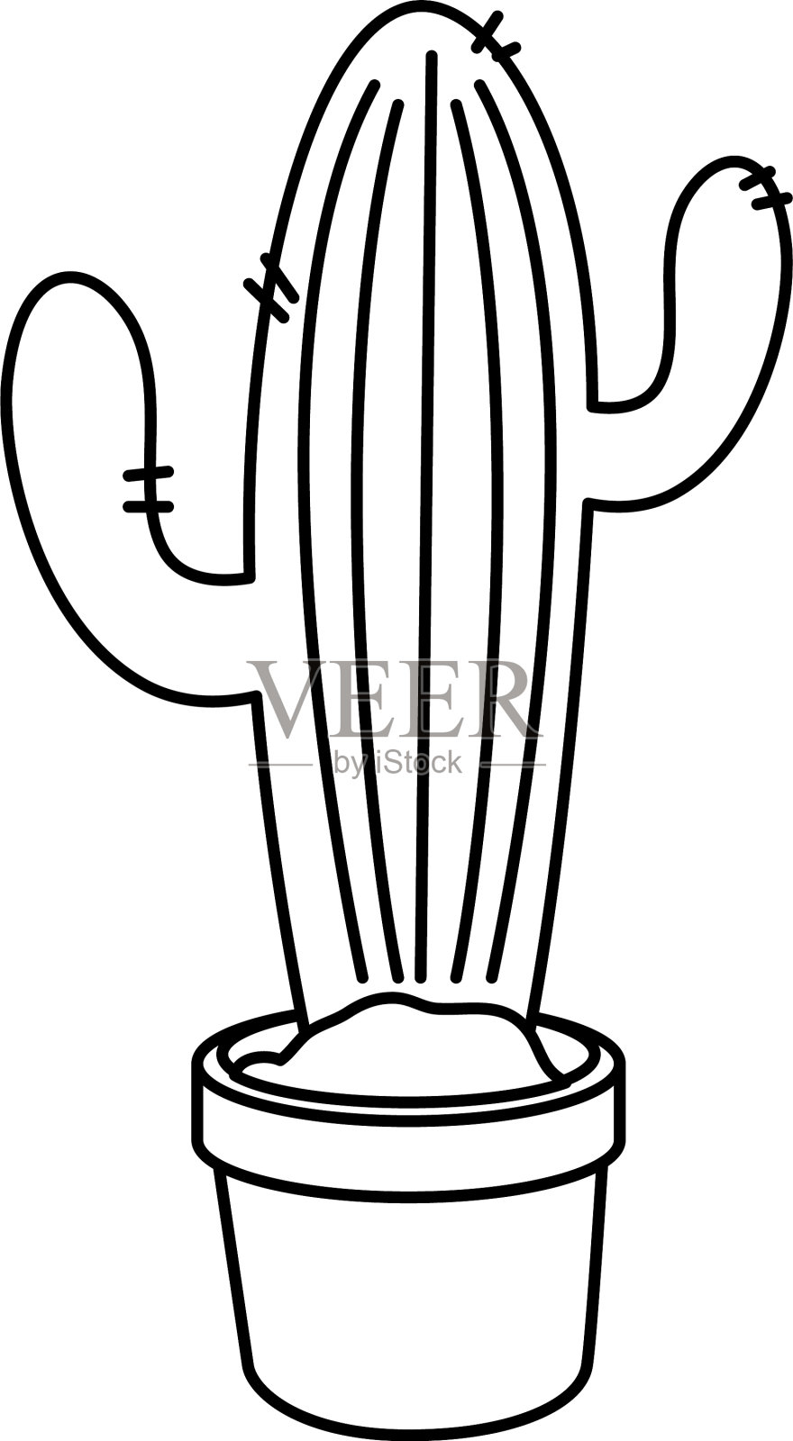 孤立的仙人掌植物设计设计元素图片