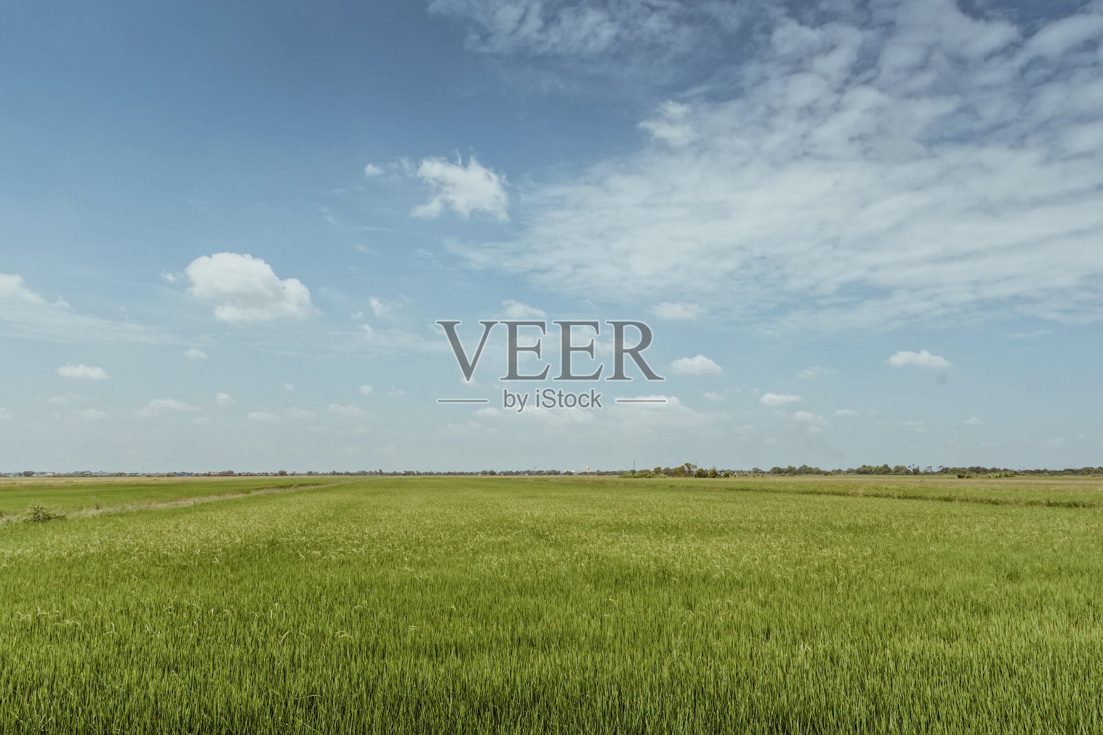 天空下的农场风景照片摄影图片