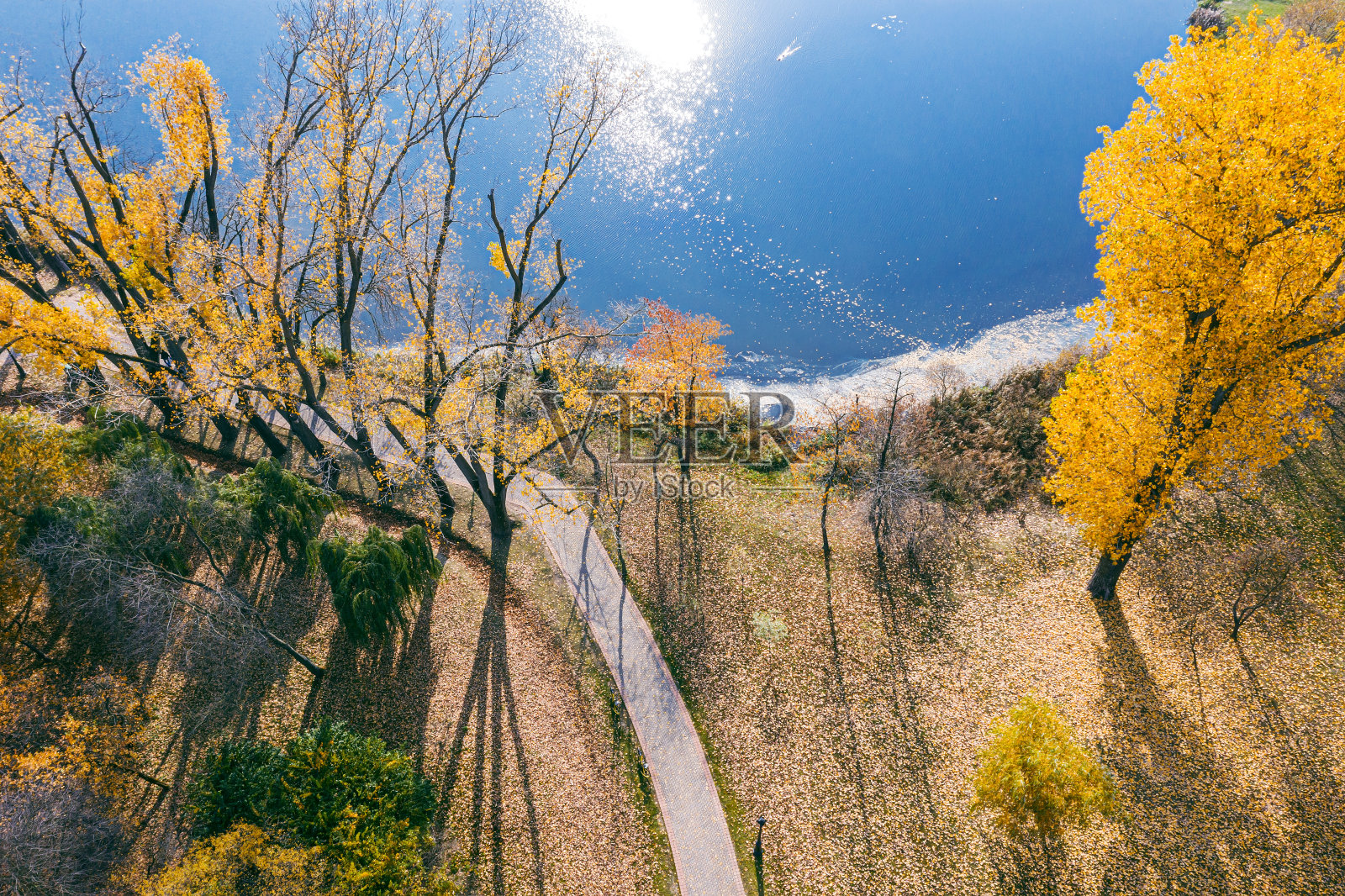 鸟瞰图丰富多彩的公园景观在秋天。池塘岸边的黄色树木和小径照片摄影图片