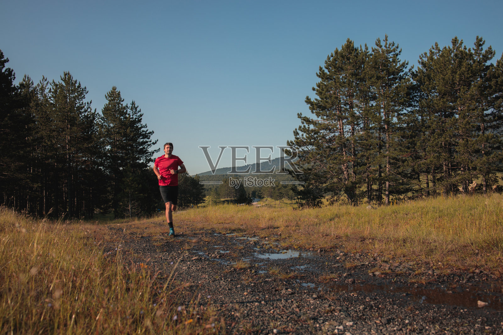 早上在田野里慢跑照片摄影图片