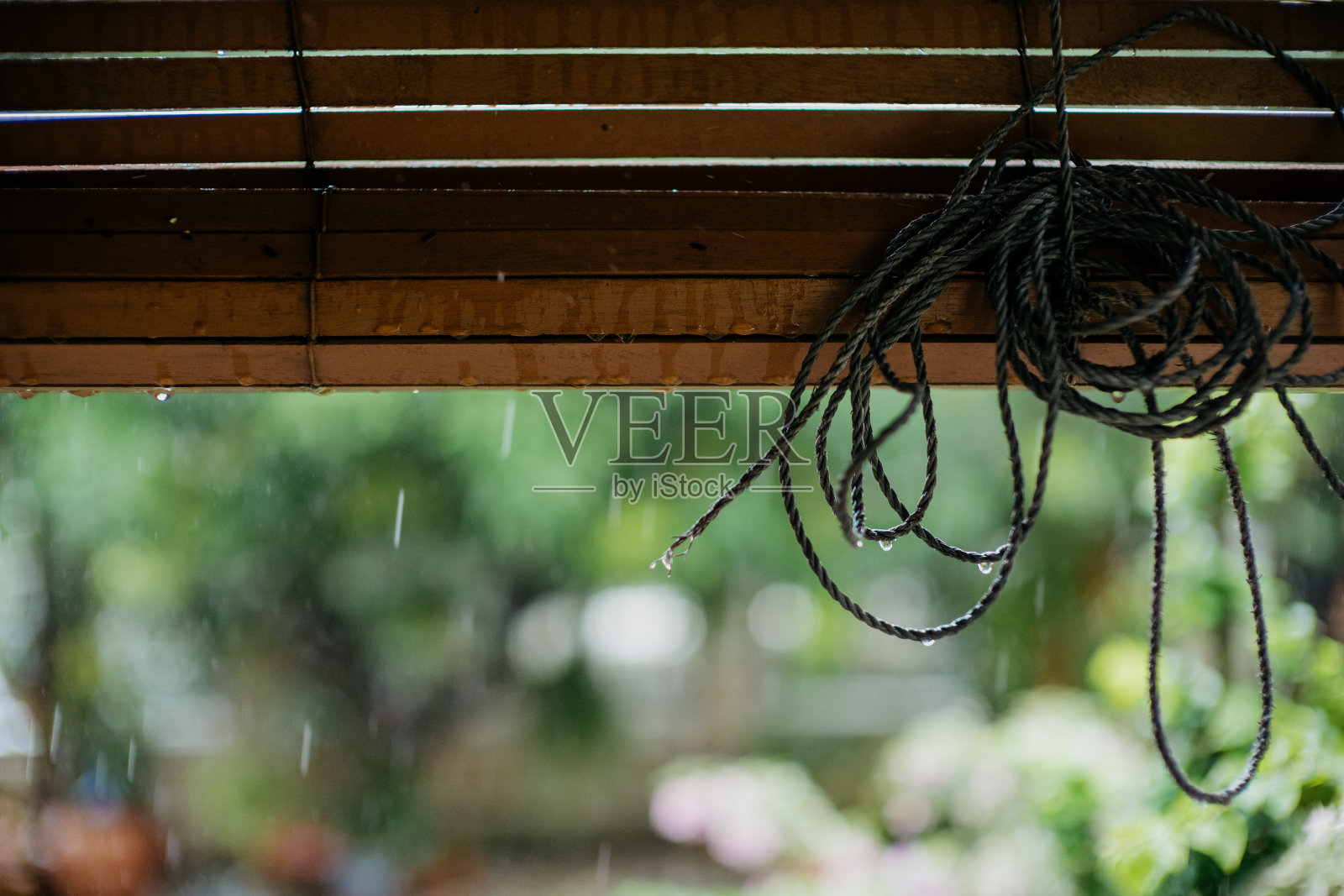 雨天照片摄影图片