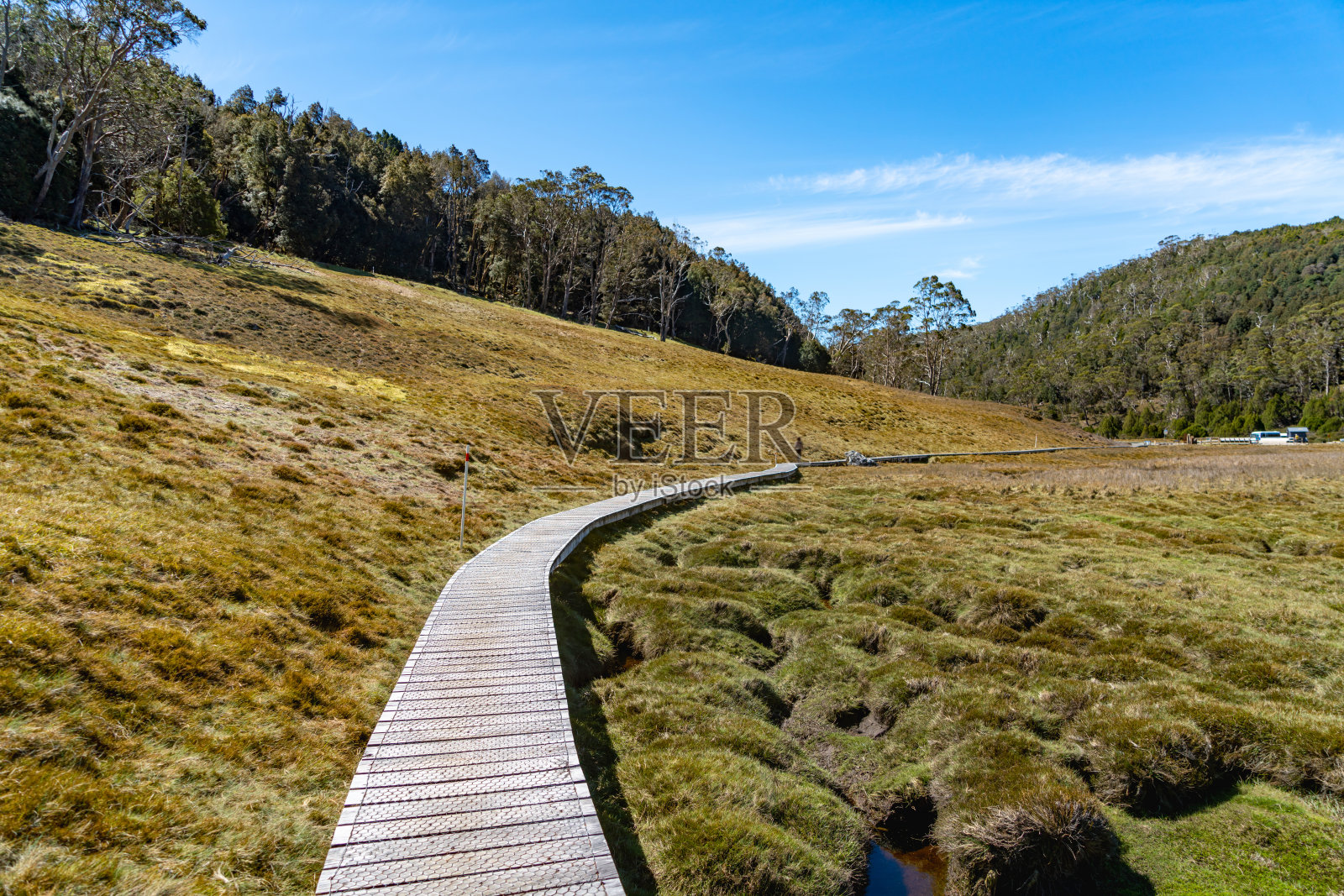 在澳大利亚塔斯马尼亚岛摇篮国家公园的陆上轨道徒步旅行照片摄影图片
