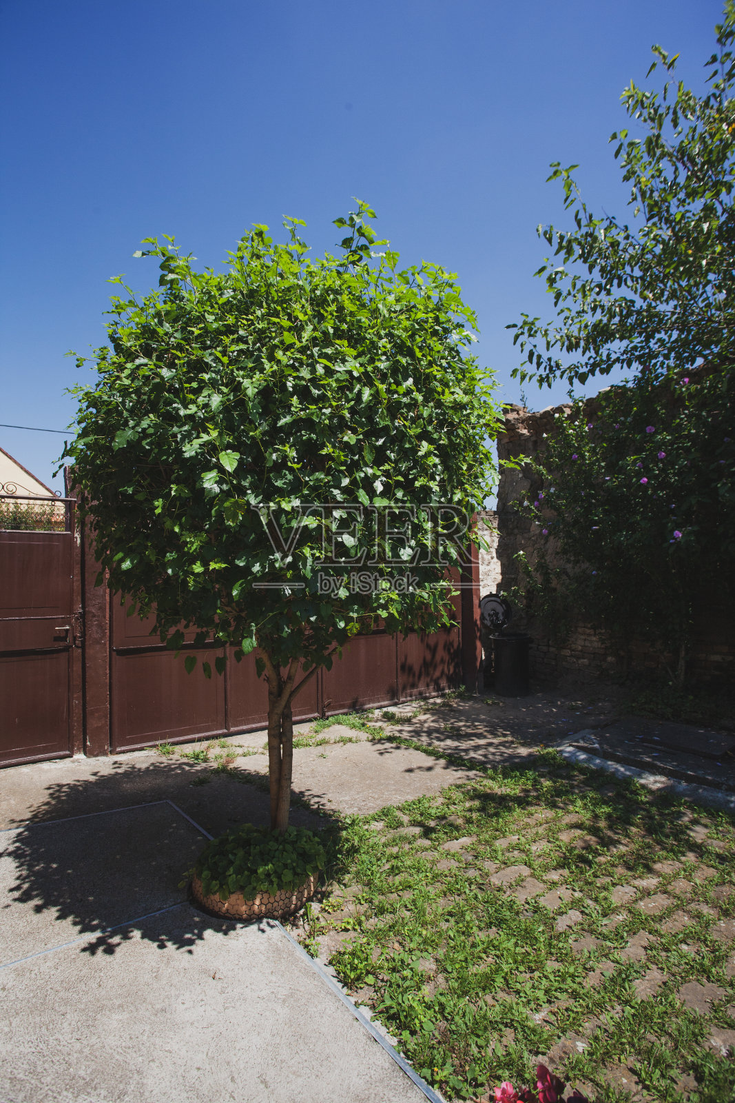 有后院的乡村房子照片摄影图片