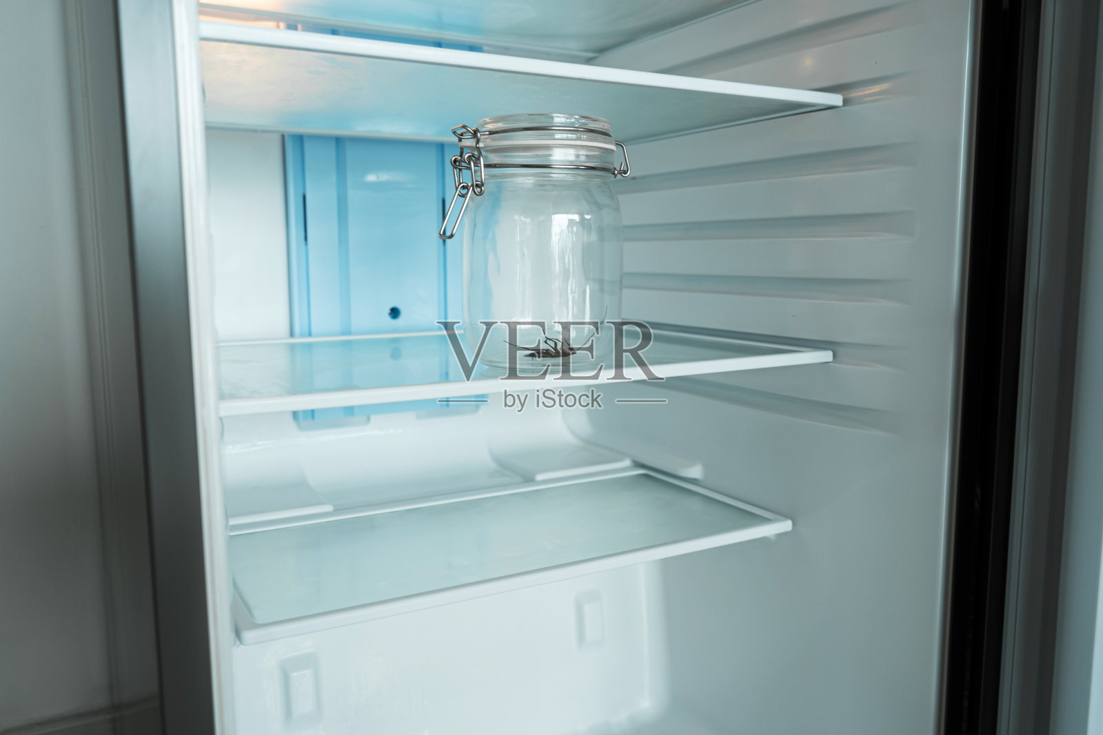 空冰箱里玻璃瓶里的蟑螂。贫穷和缺乏食物观念照片摄影图片