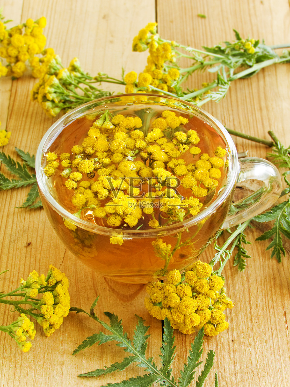 杯茶照片摄影图片