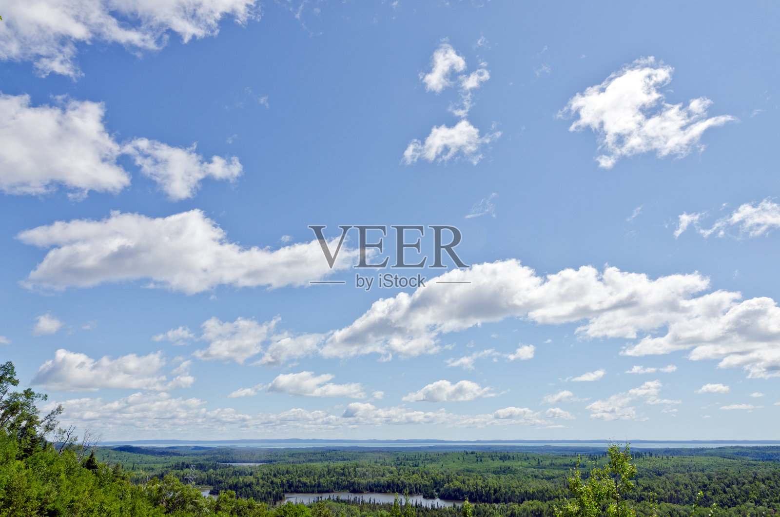 阳光明媚的森林照片摄影图片