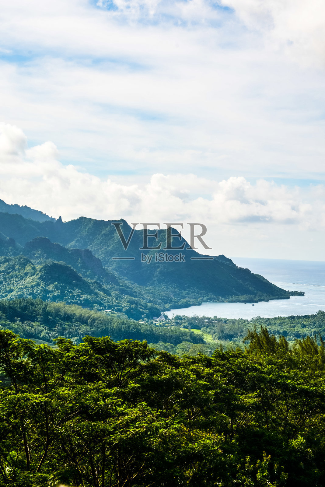莫雷阿岛是一个热带天堂。法属波利尼西亚照片摄影图片